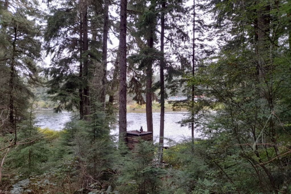 Riverside sanctuary in Northern Vancouver Island photo 4