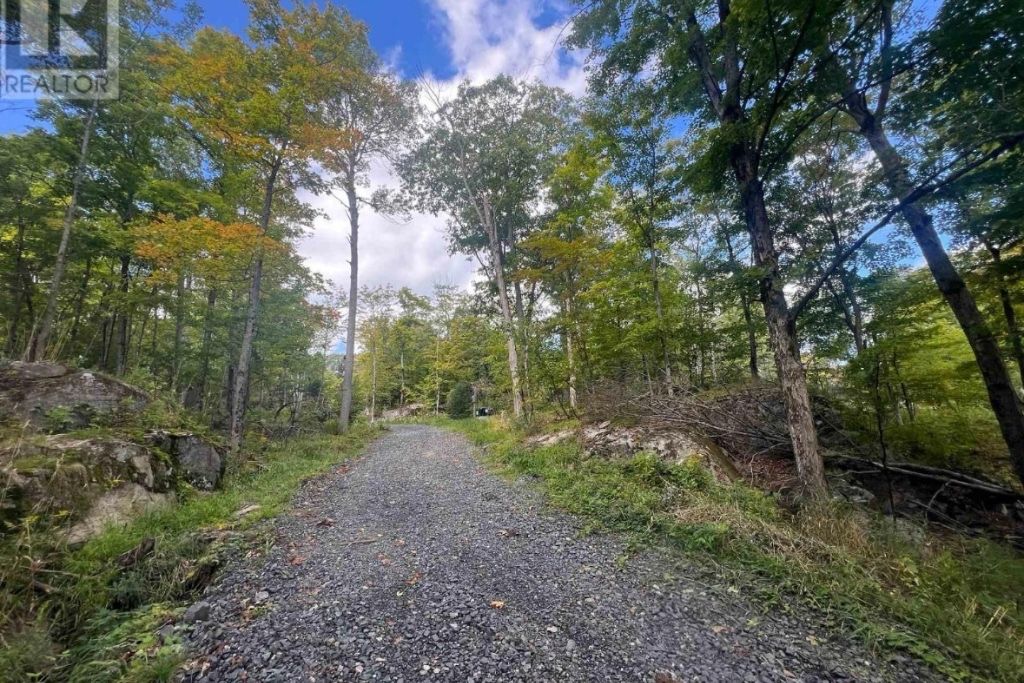Private 44-Acre Wilderness Camp Near Killbear photo 3