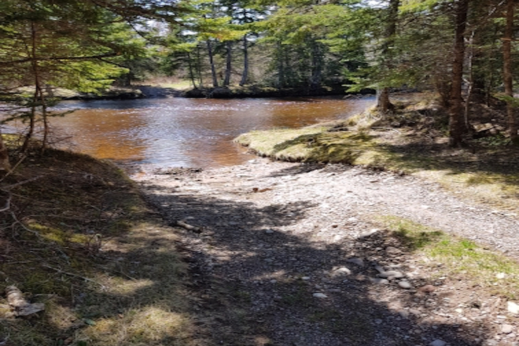 Camping by the River
