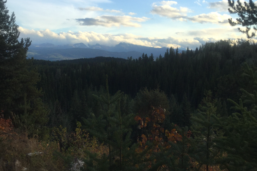 Magic of Nature photo 5