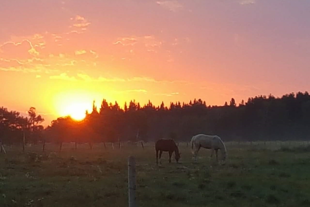 Timber Row Ranch