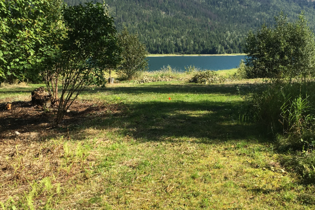 Rock island Paradise on the Arrow lake