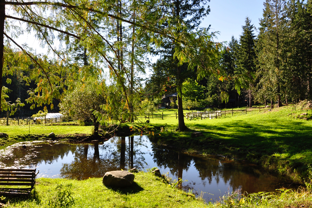 WHF Farm Stay Accommodation
