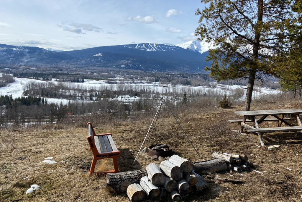 Call Cabin - Photo 2