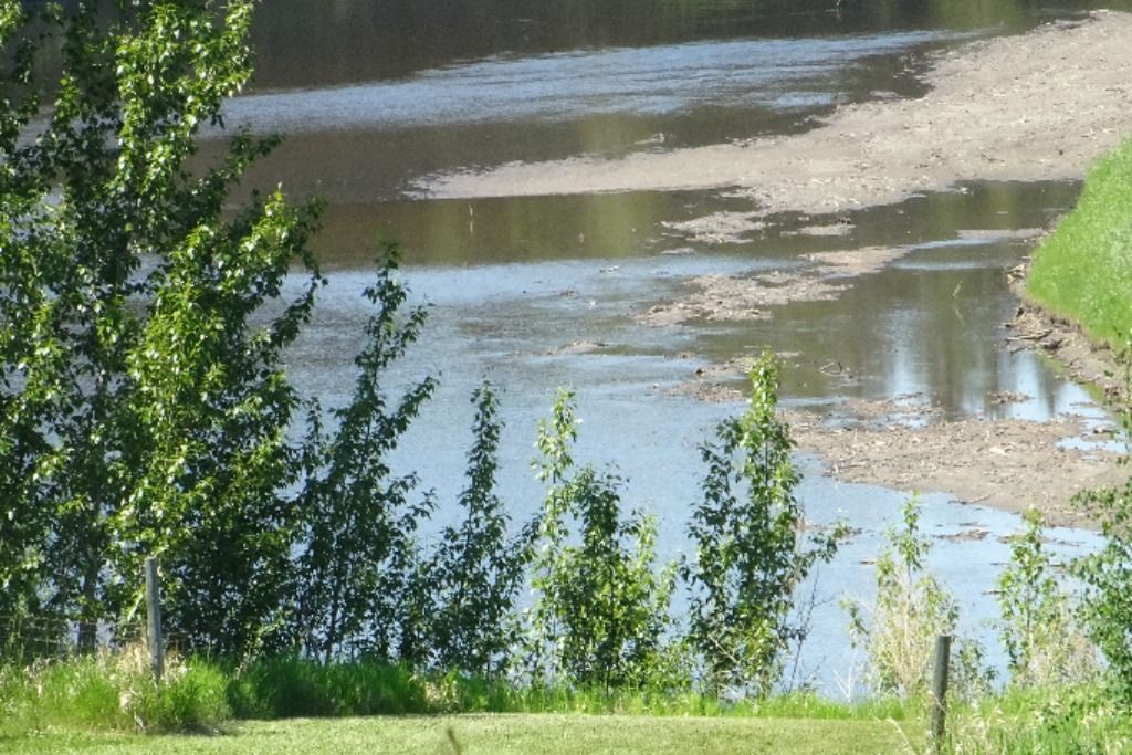 Chattaway Grove on the Pembina River photo 5