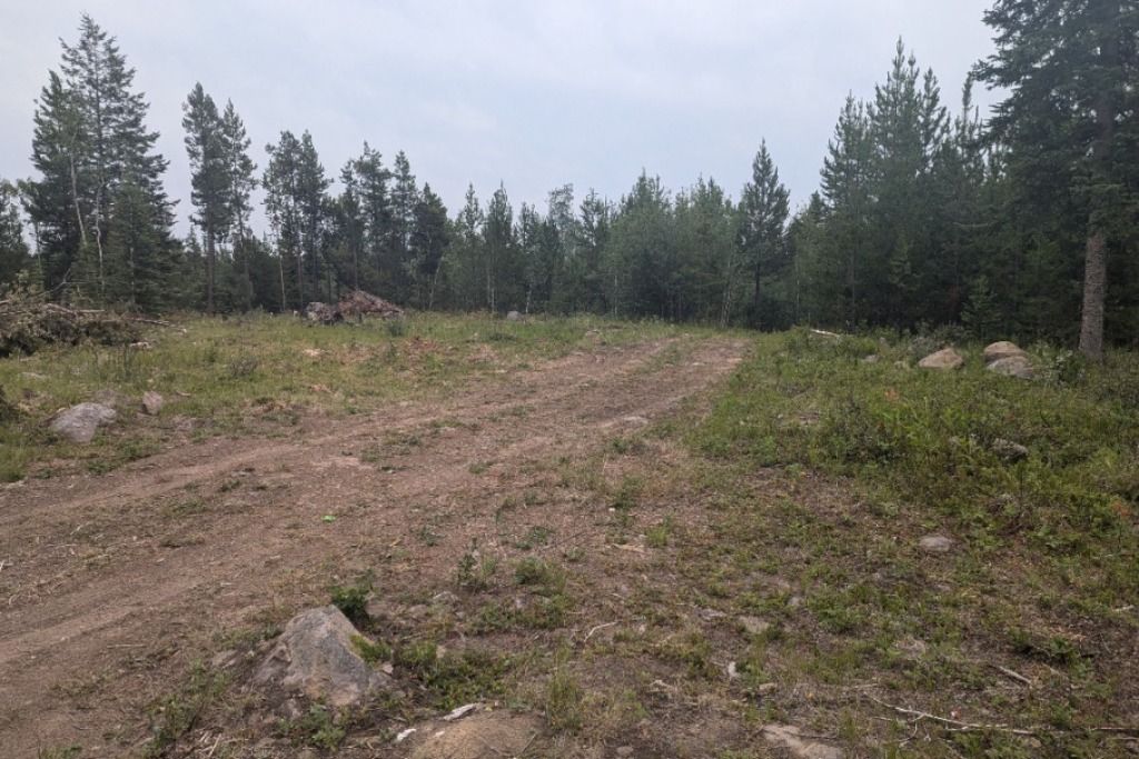 93 Mile Camp  photo 2