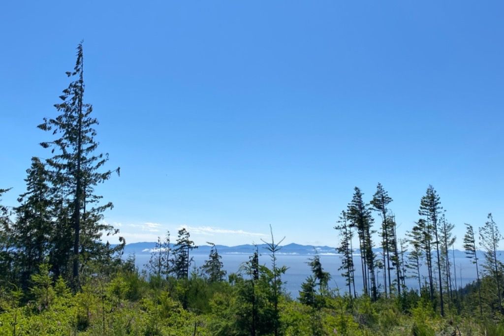 Private 80 Acre Paradise  photo 2
