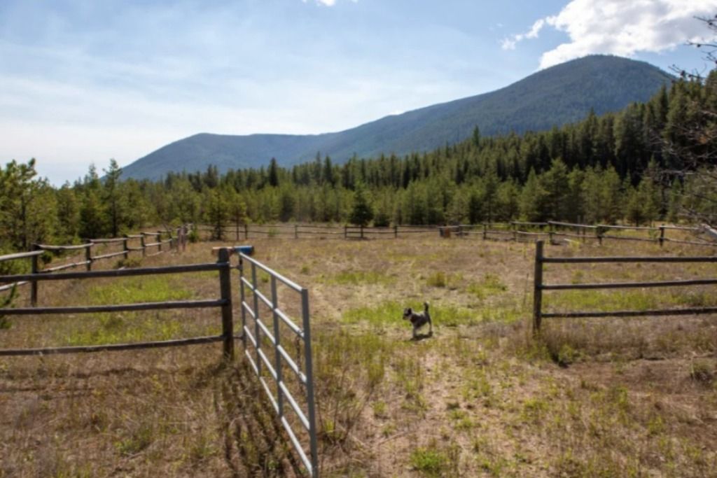 Murphy's Gold Creek Ranch photo 4