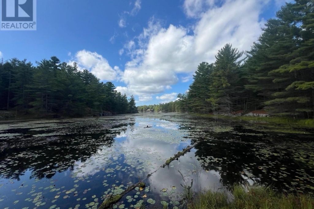Private 44-Acre Wilderness Camp Near Killbear photo 5