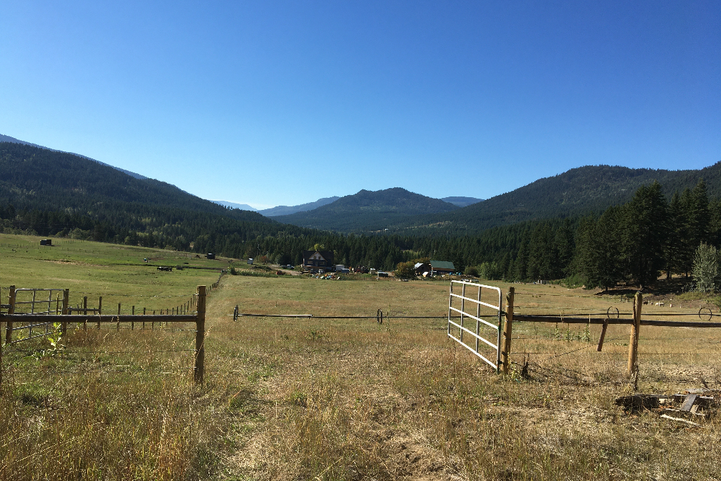 Wild Valley Farmz Camping & Events photo 4