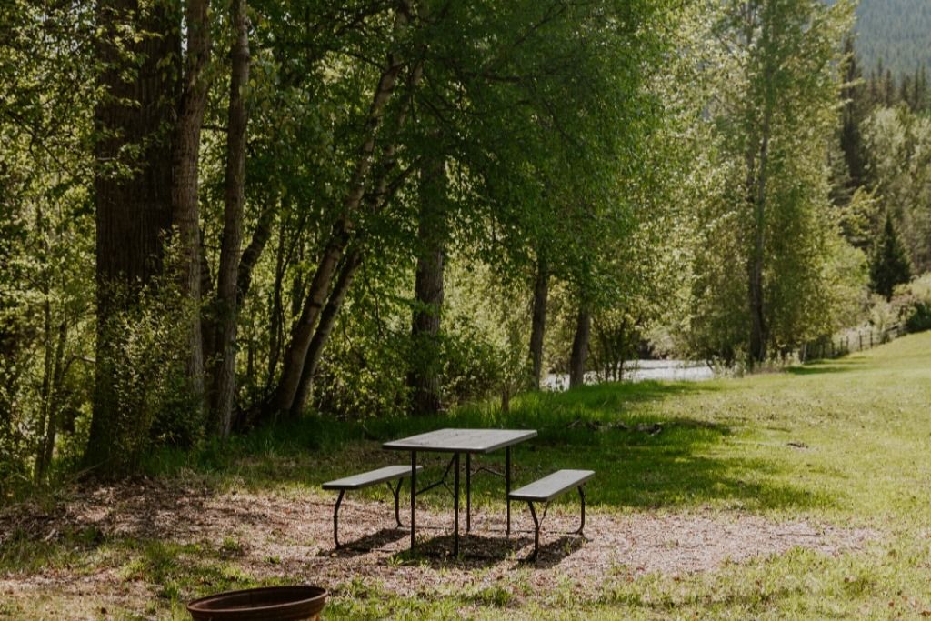 Cherryville Creek Camping photo 3