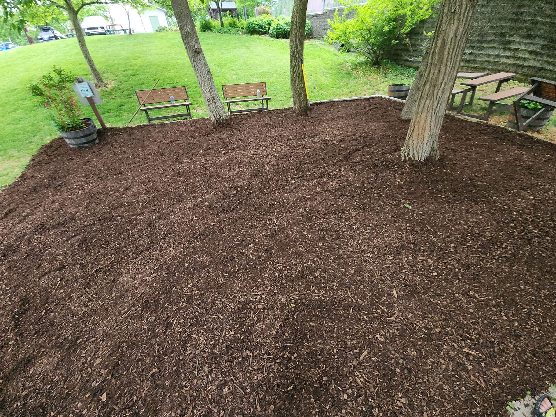 Service Project at Taft House photo