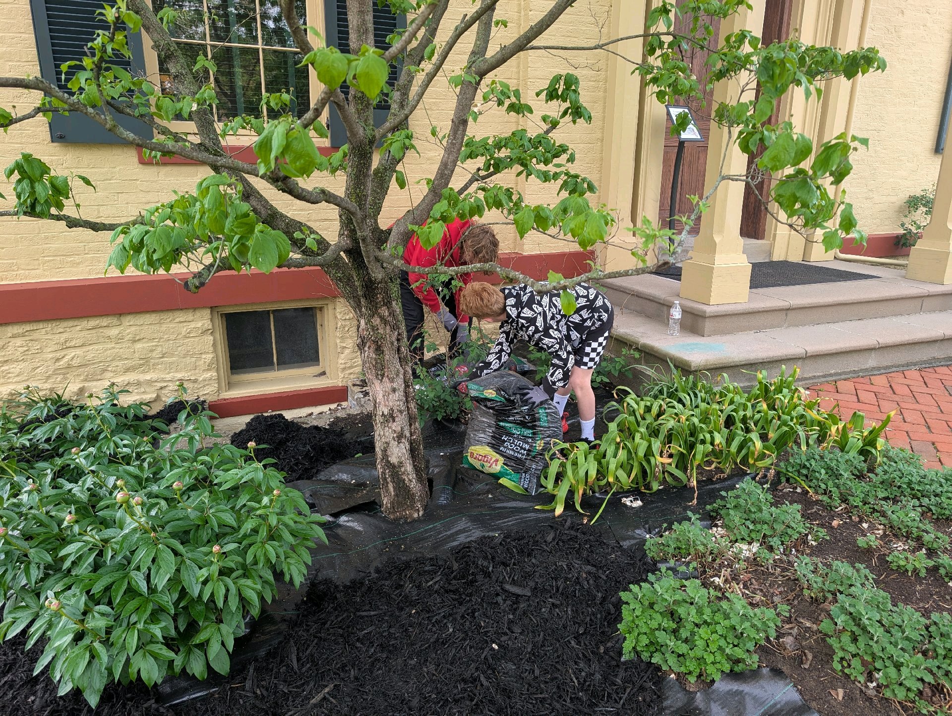 Service Project at Taft House photo