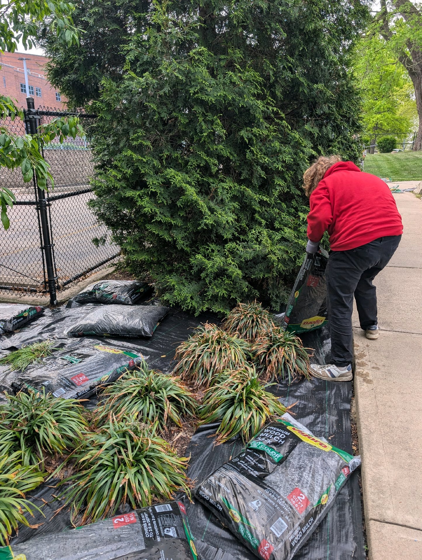 Service Project at Taft House photo