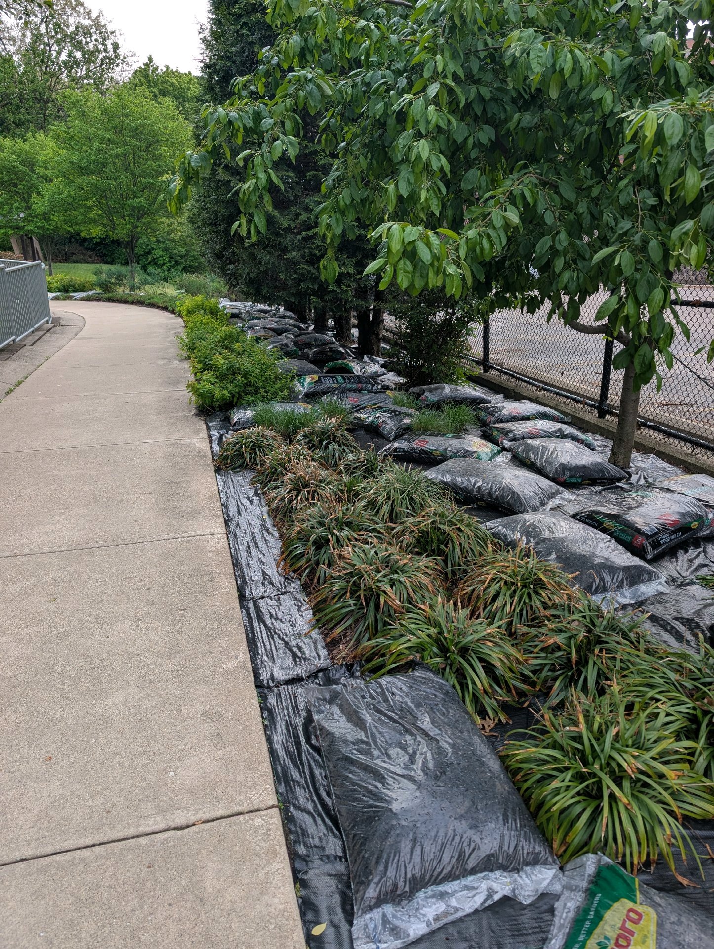 Service Project at Taft House photo