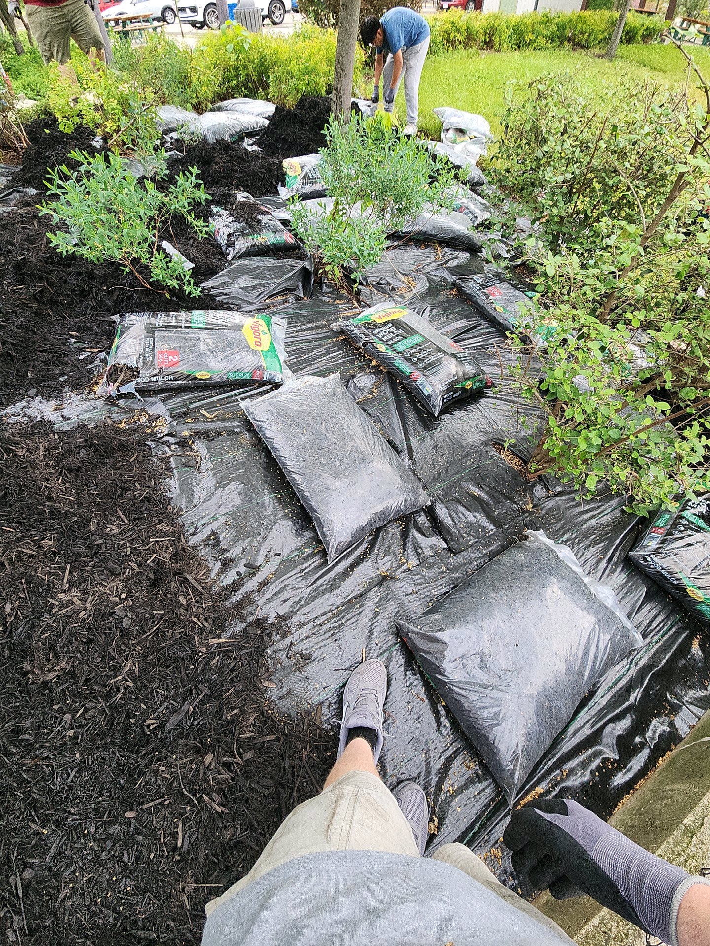 Service Project at Taft House photo