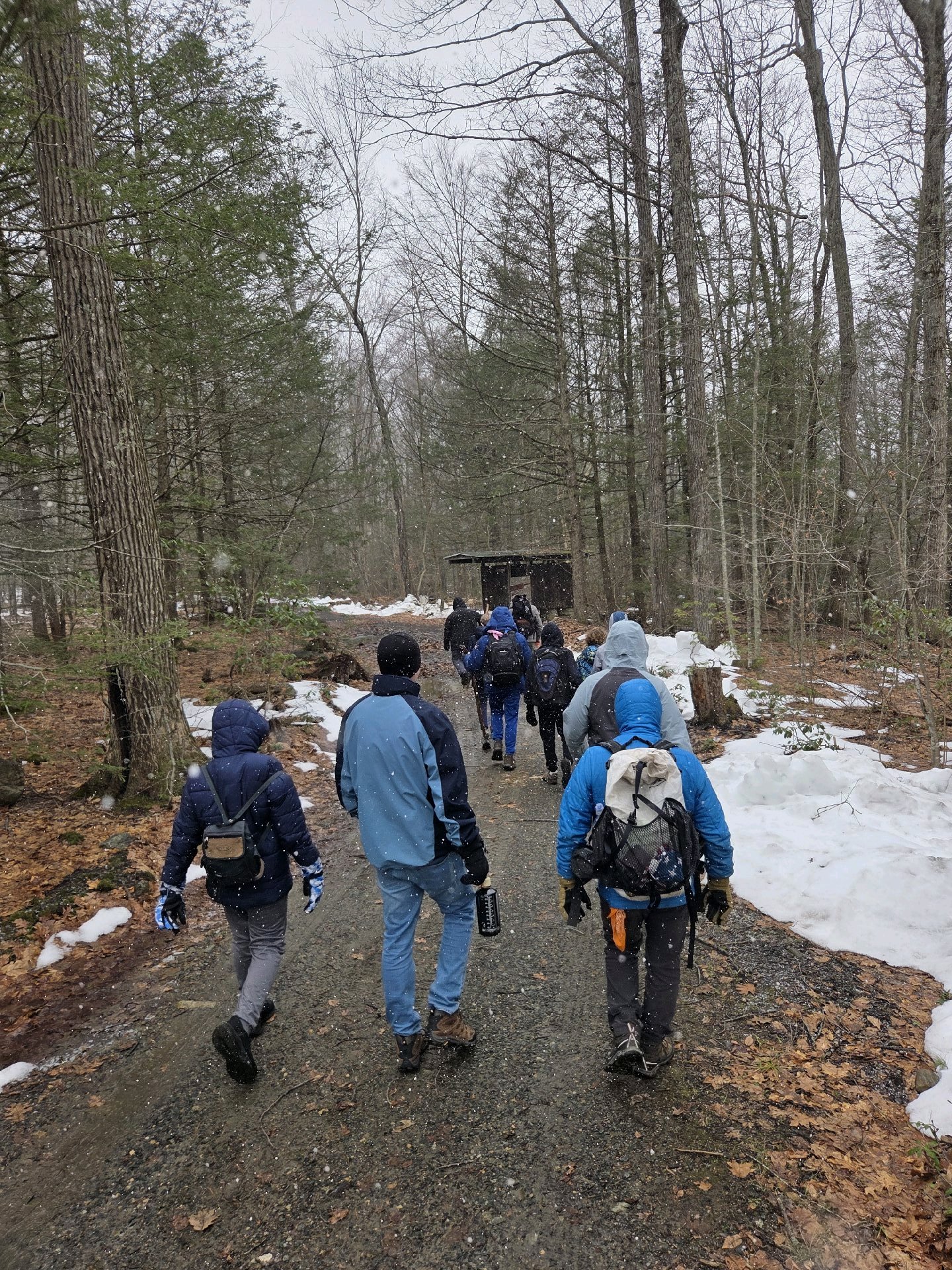 Winter Cabin Weekend photo