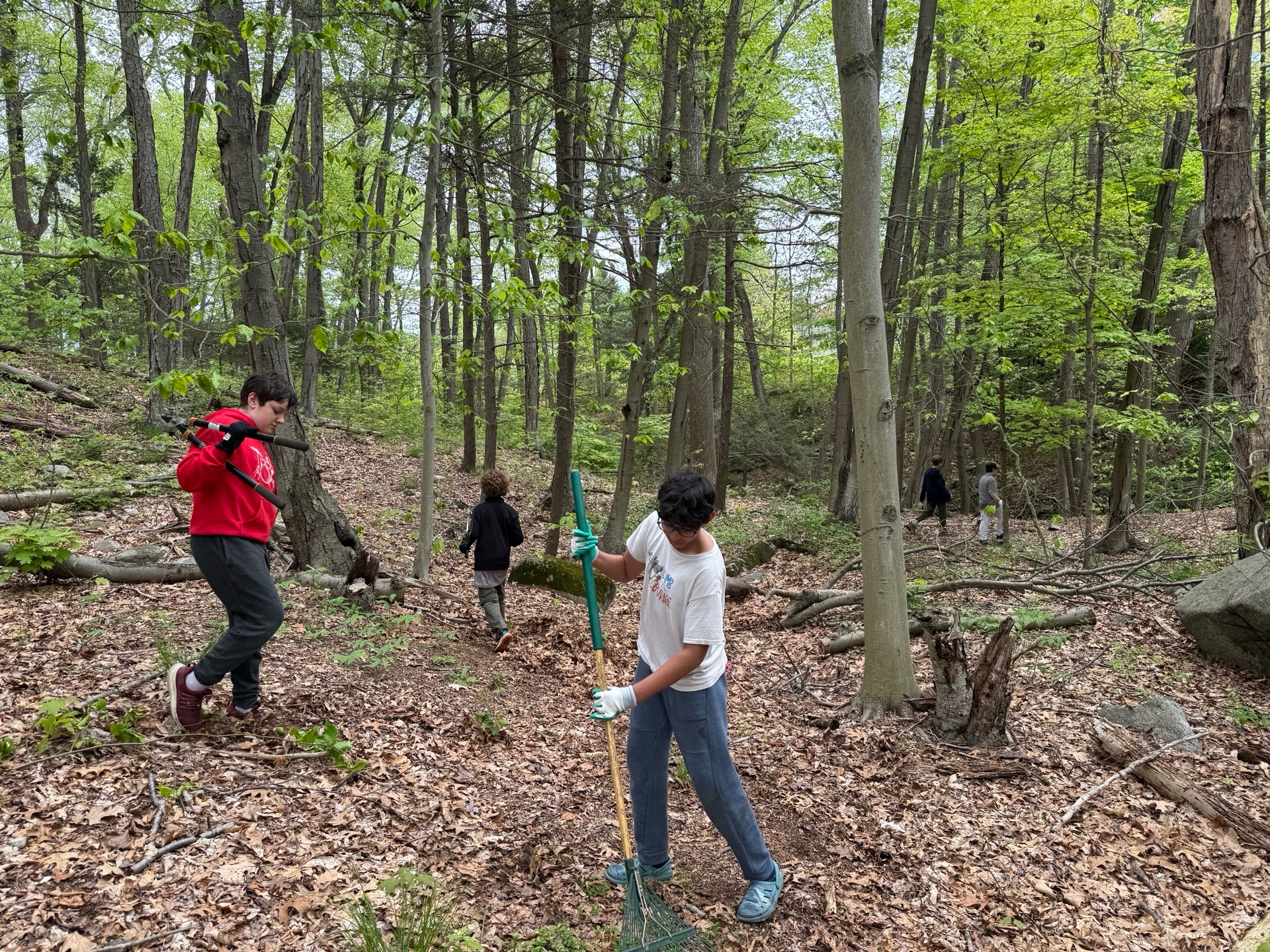 Camp Cedarcrest Trail Cleanup photo
