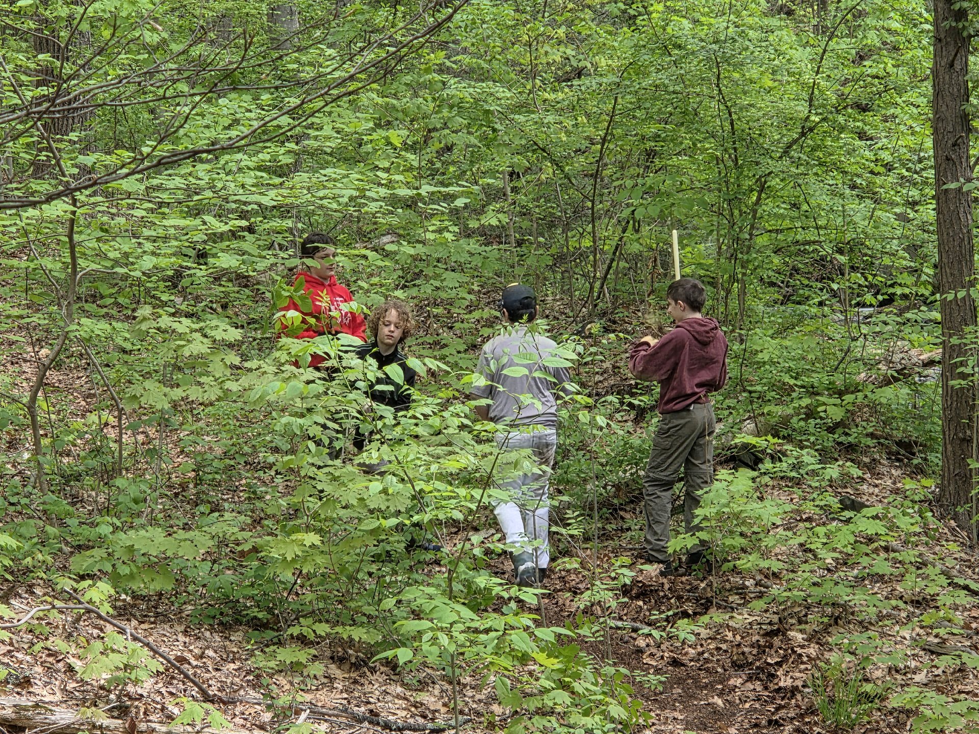 Camp Cedarcrest Trail Cleanup photo