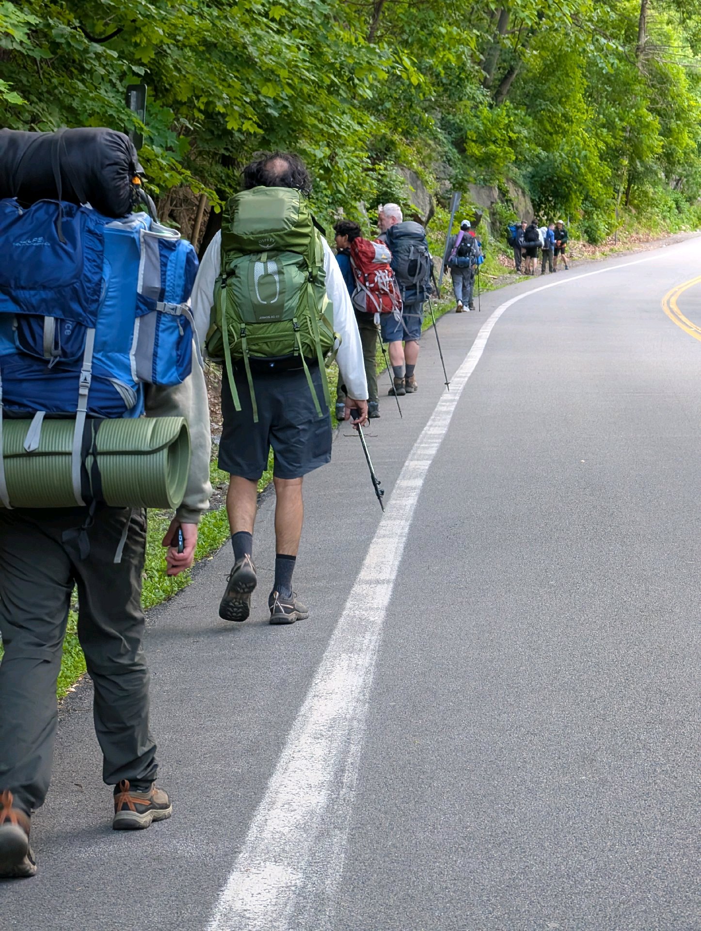 Spring Backpacker photo