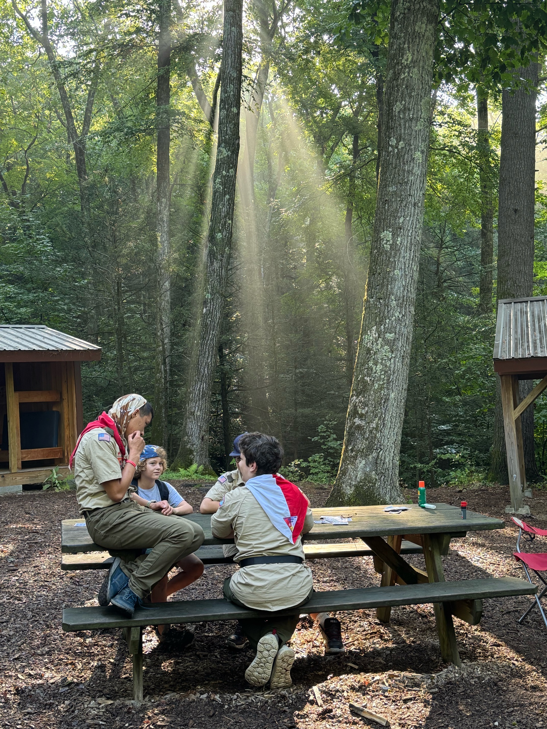 Camp Sequassen: Week 6 photo