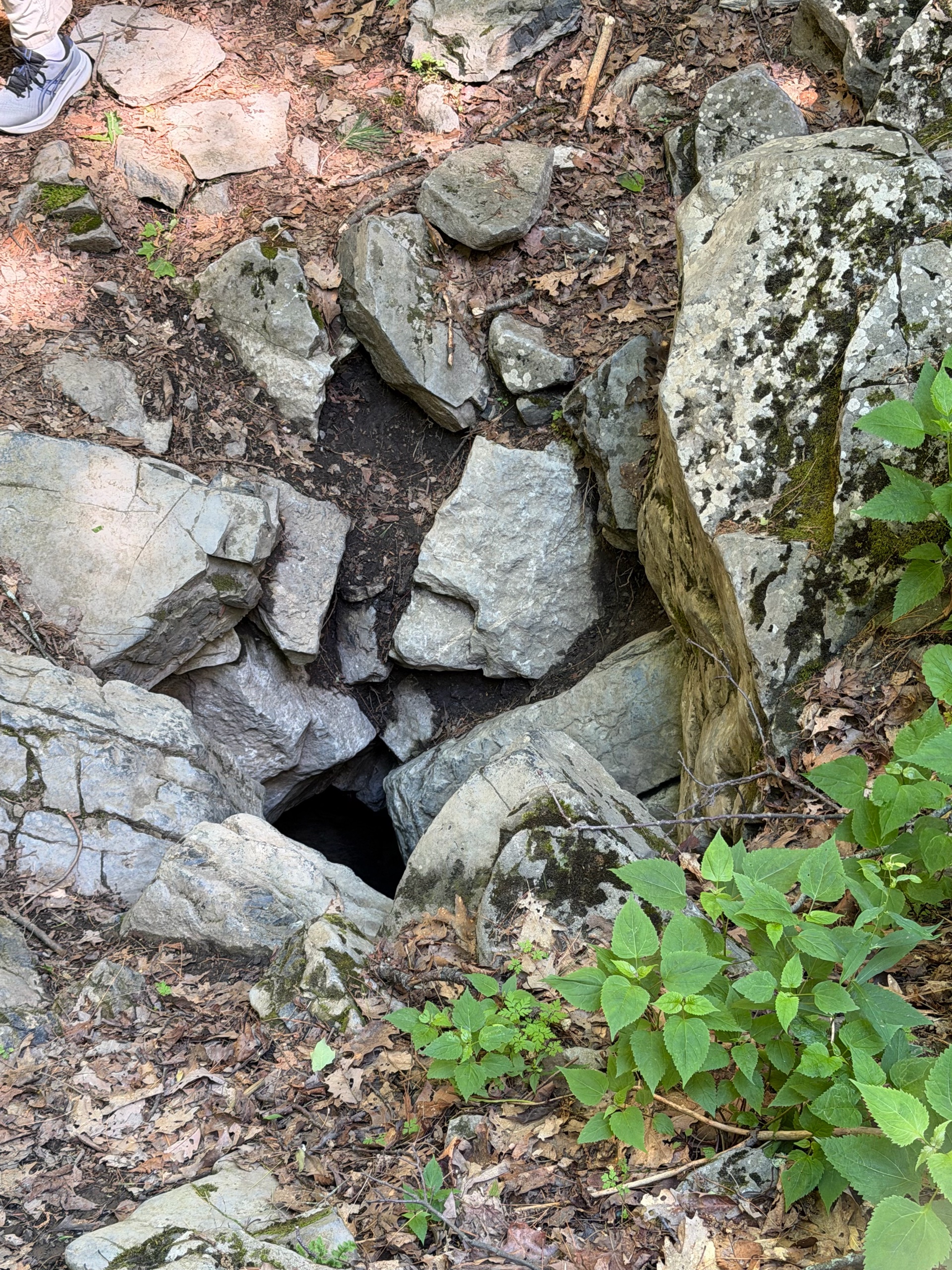 Caving Campout photo