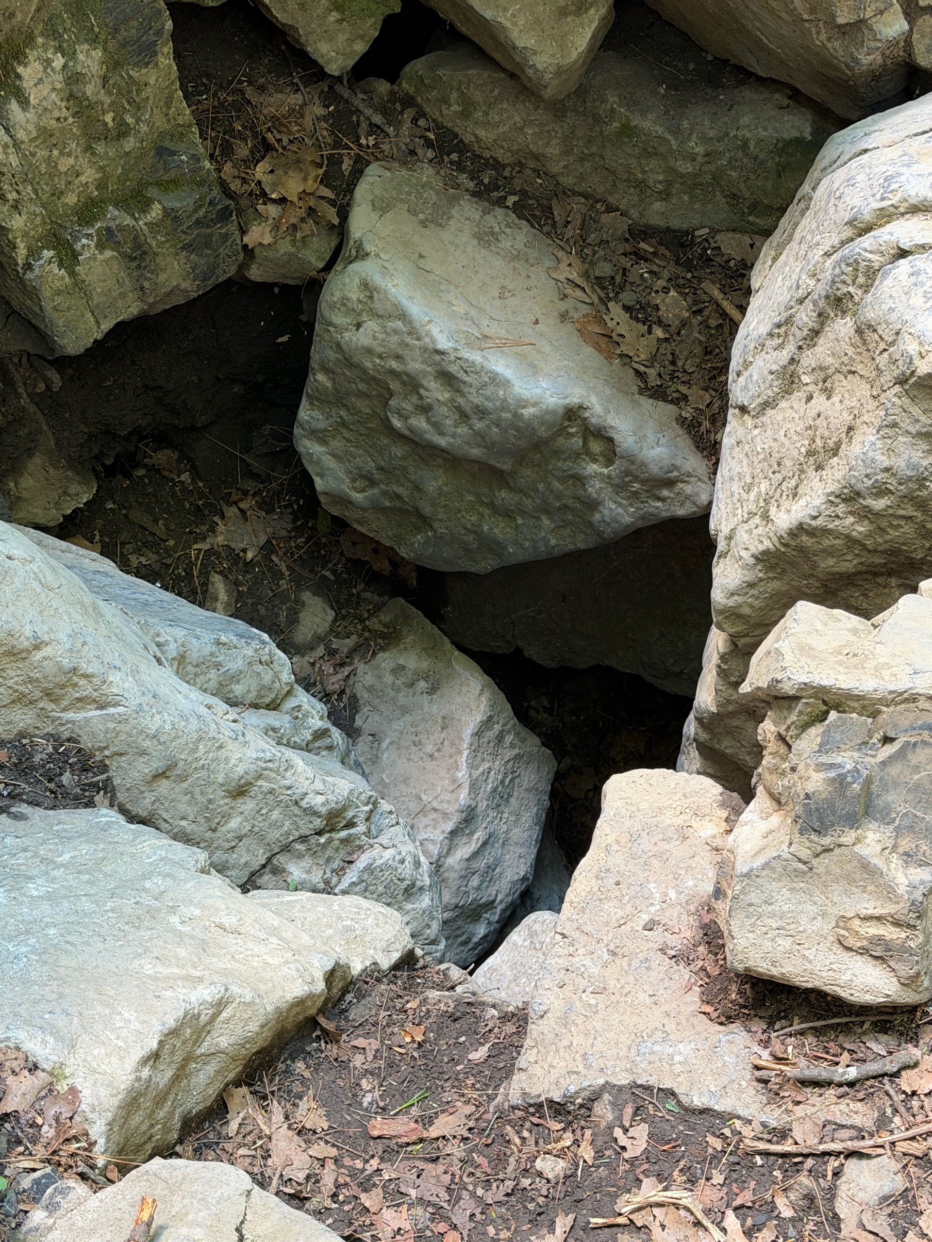 Caving Campout photo