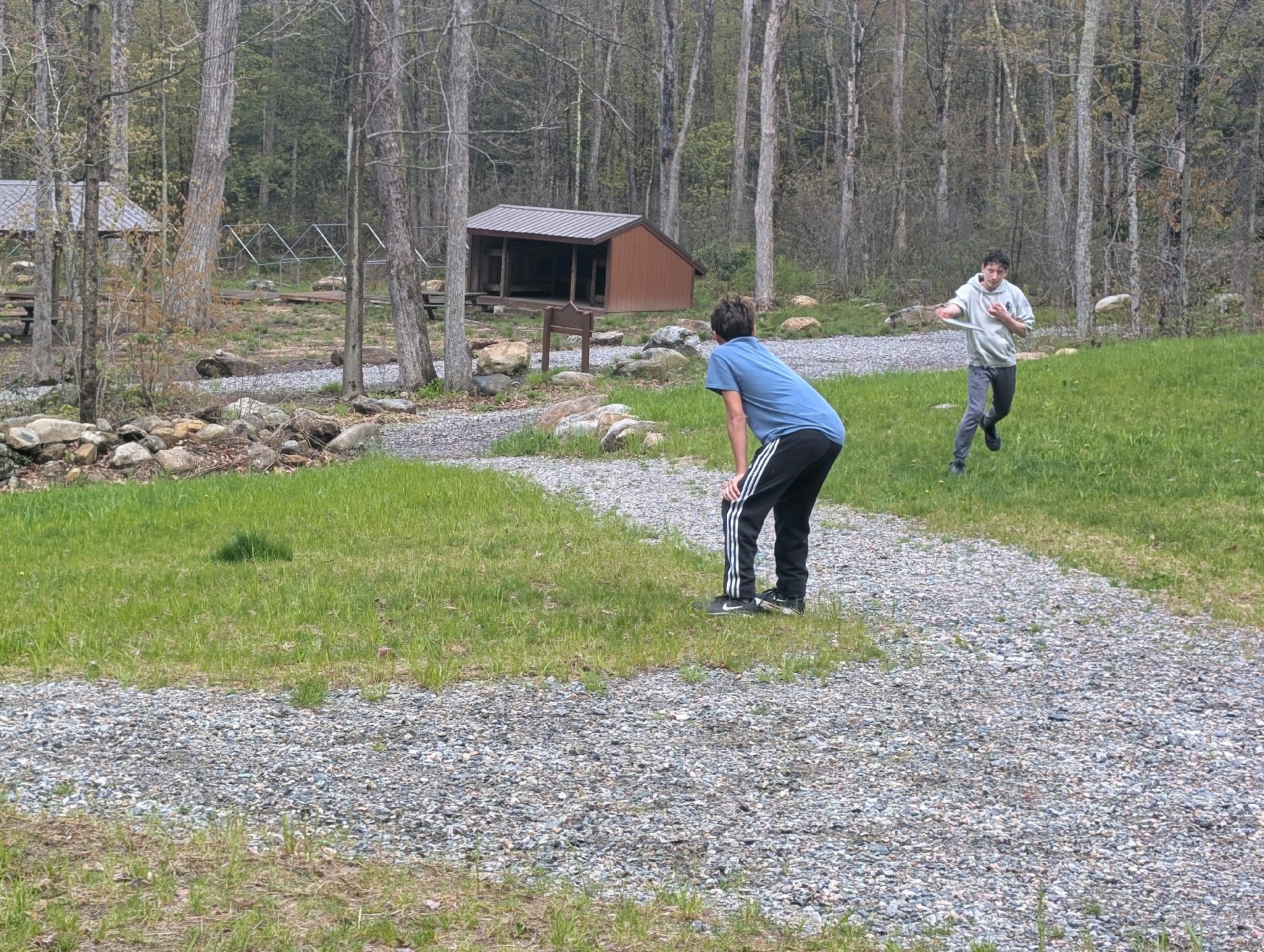 Survival Shelter Building Campout (PLC) photo