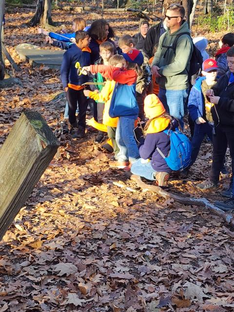 Autumn Adventure 2024 photo