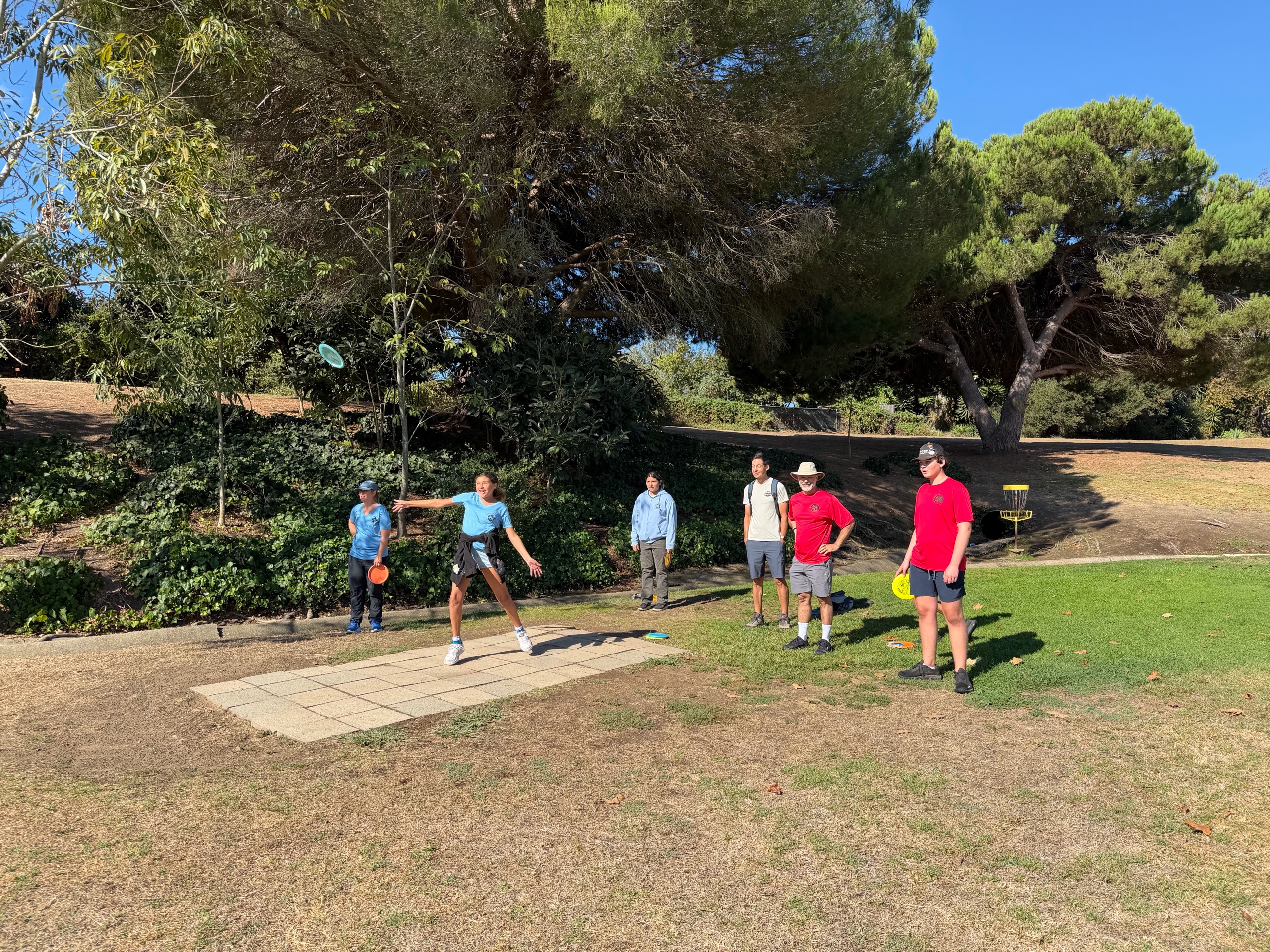 Disc Golf photo