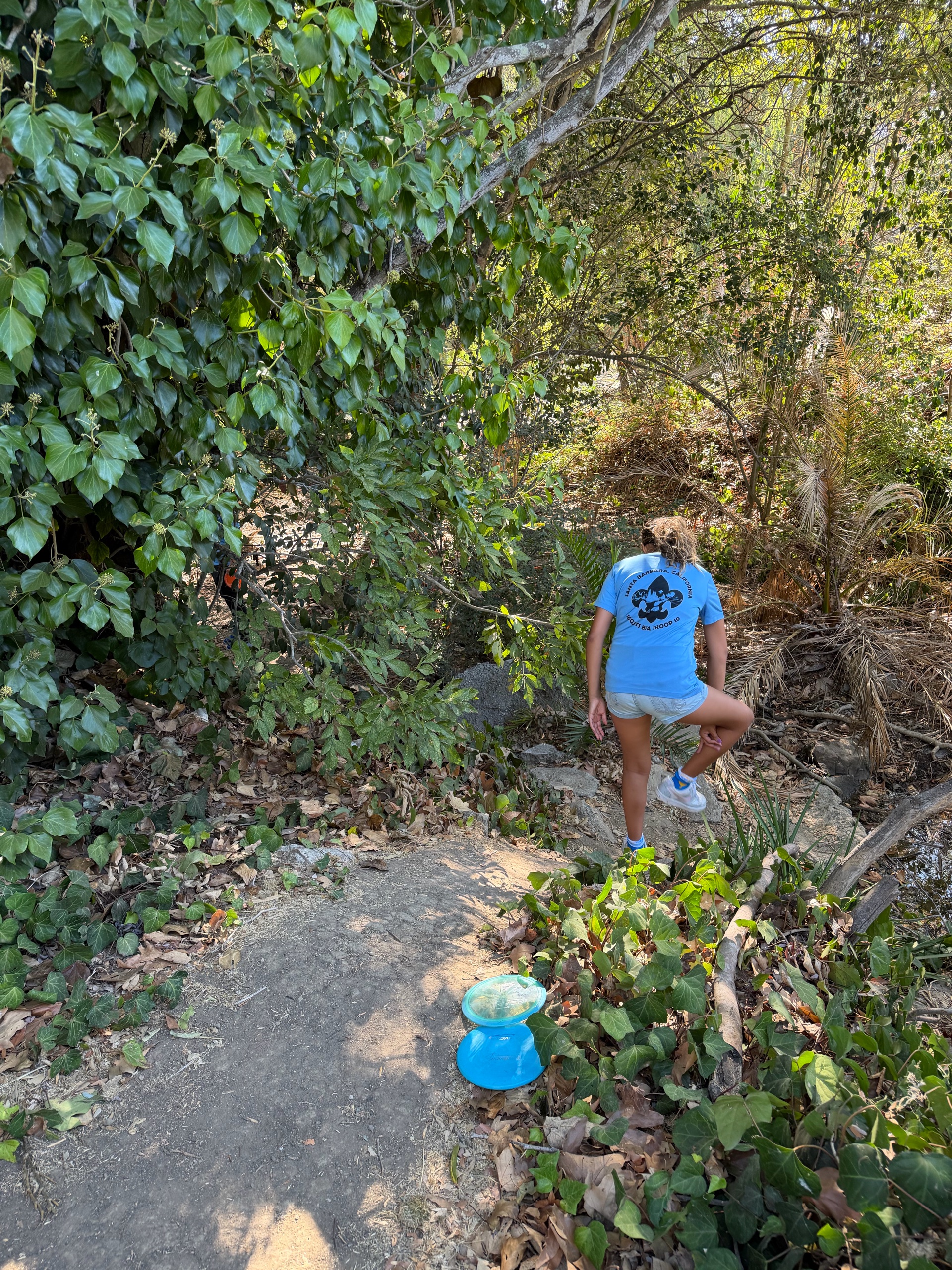 Disc Golf photo