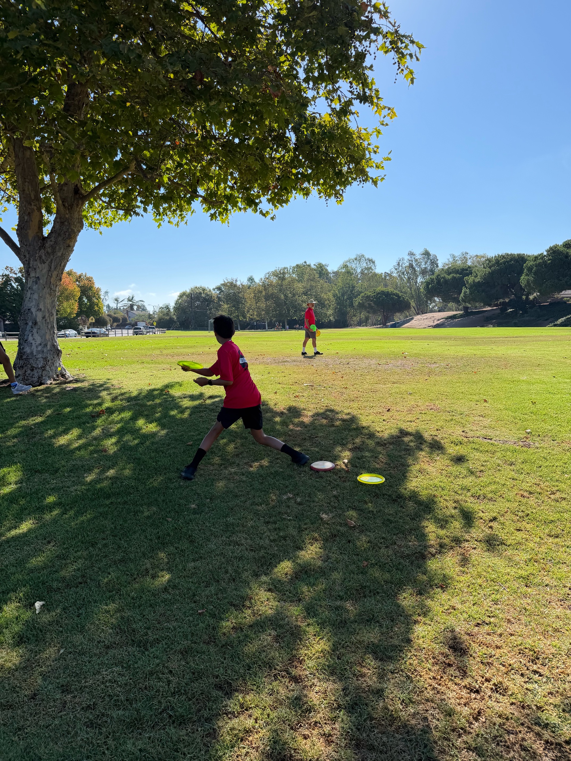 Disc Golf photo