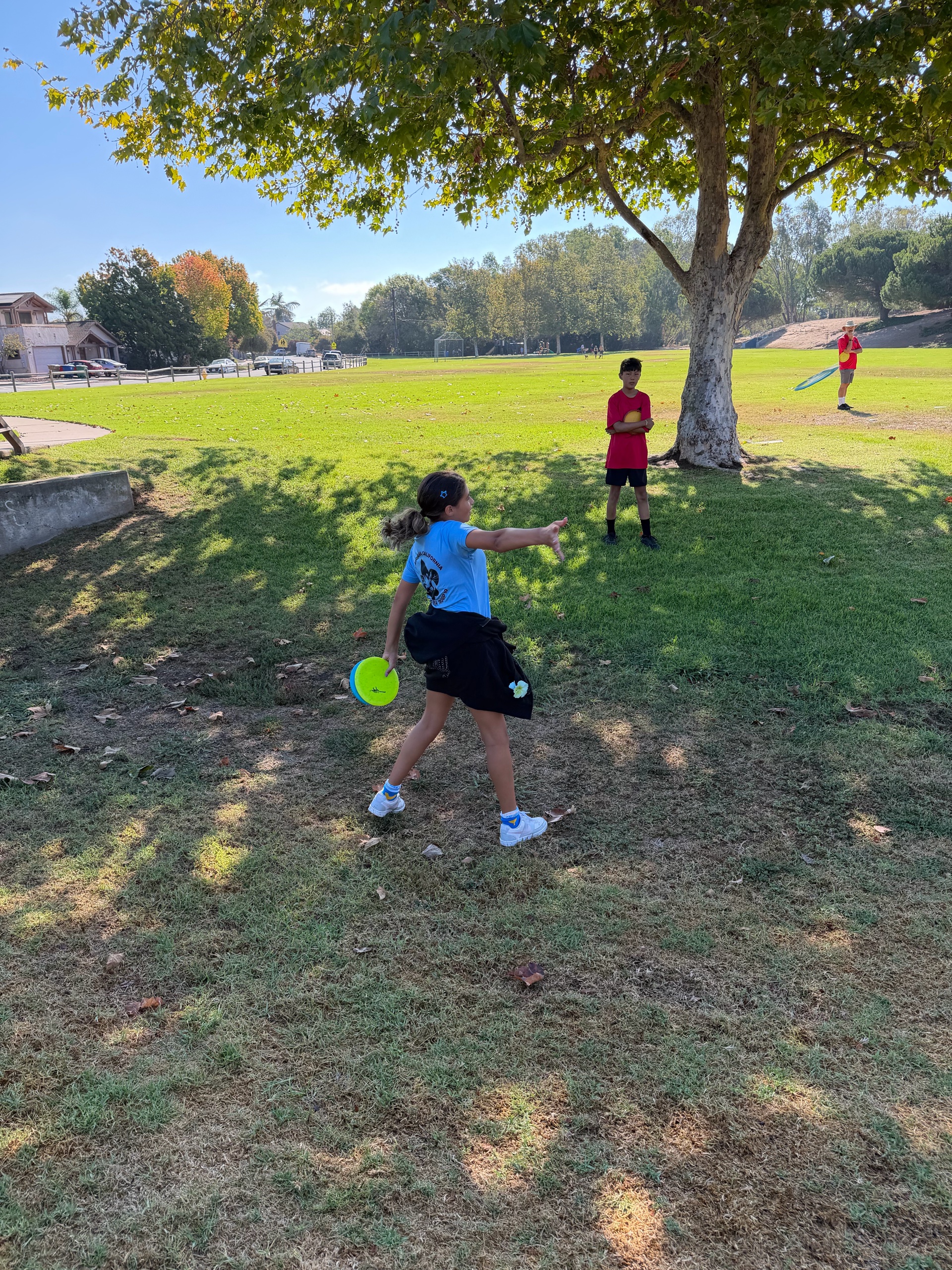 Disc Golf photo