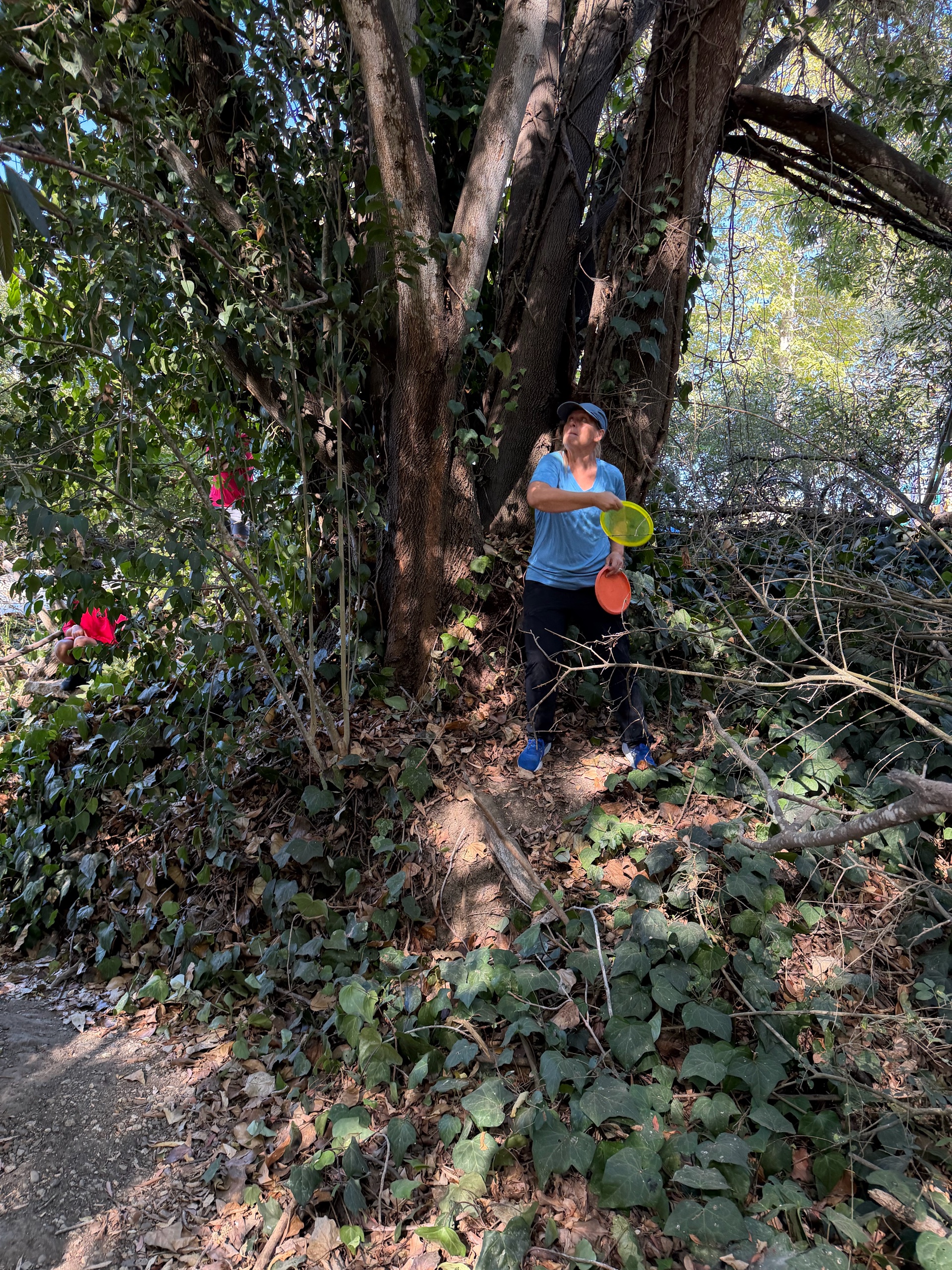 Disc Golf photo