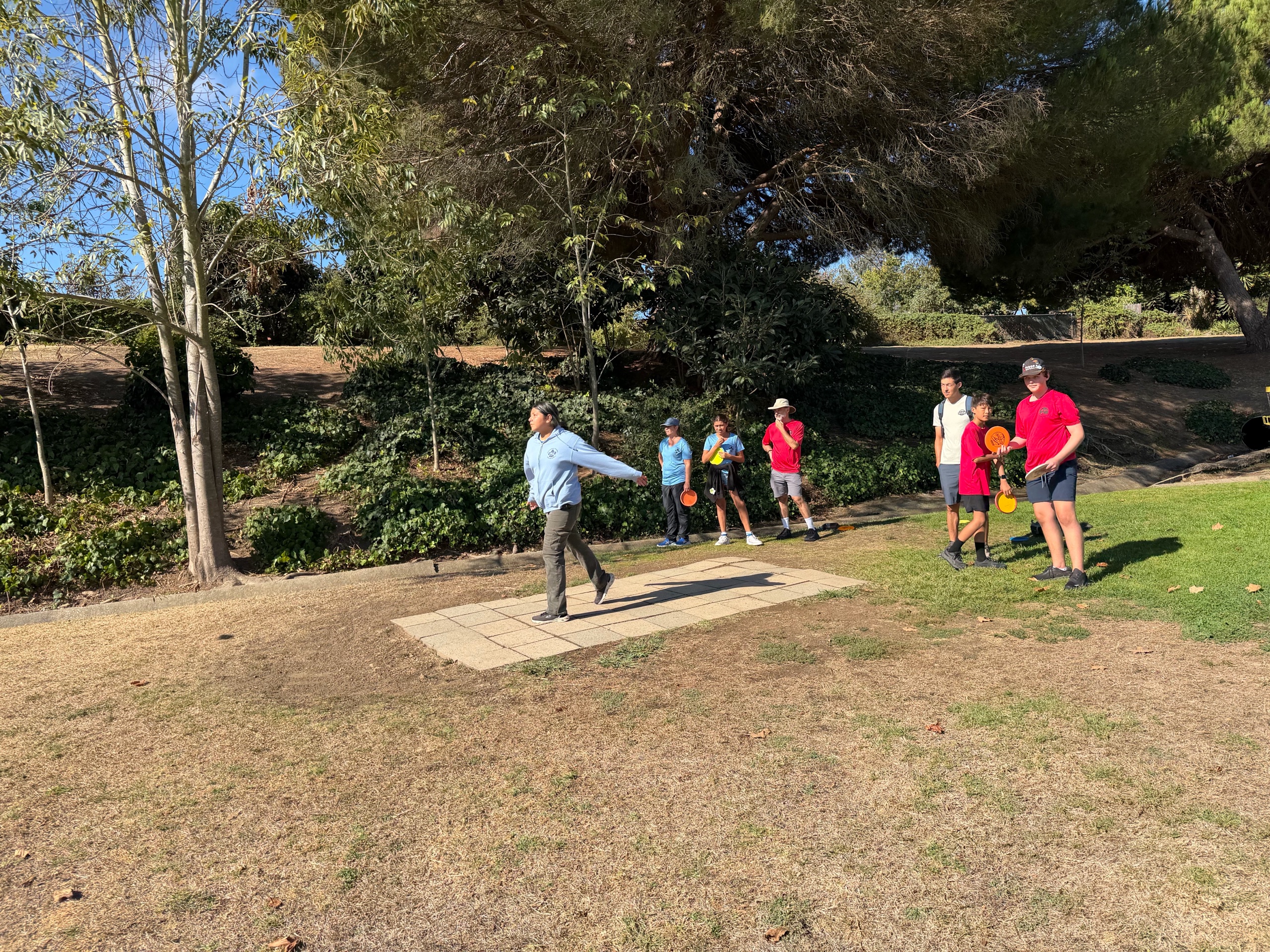 Disc Golf photo
