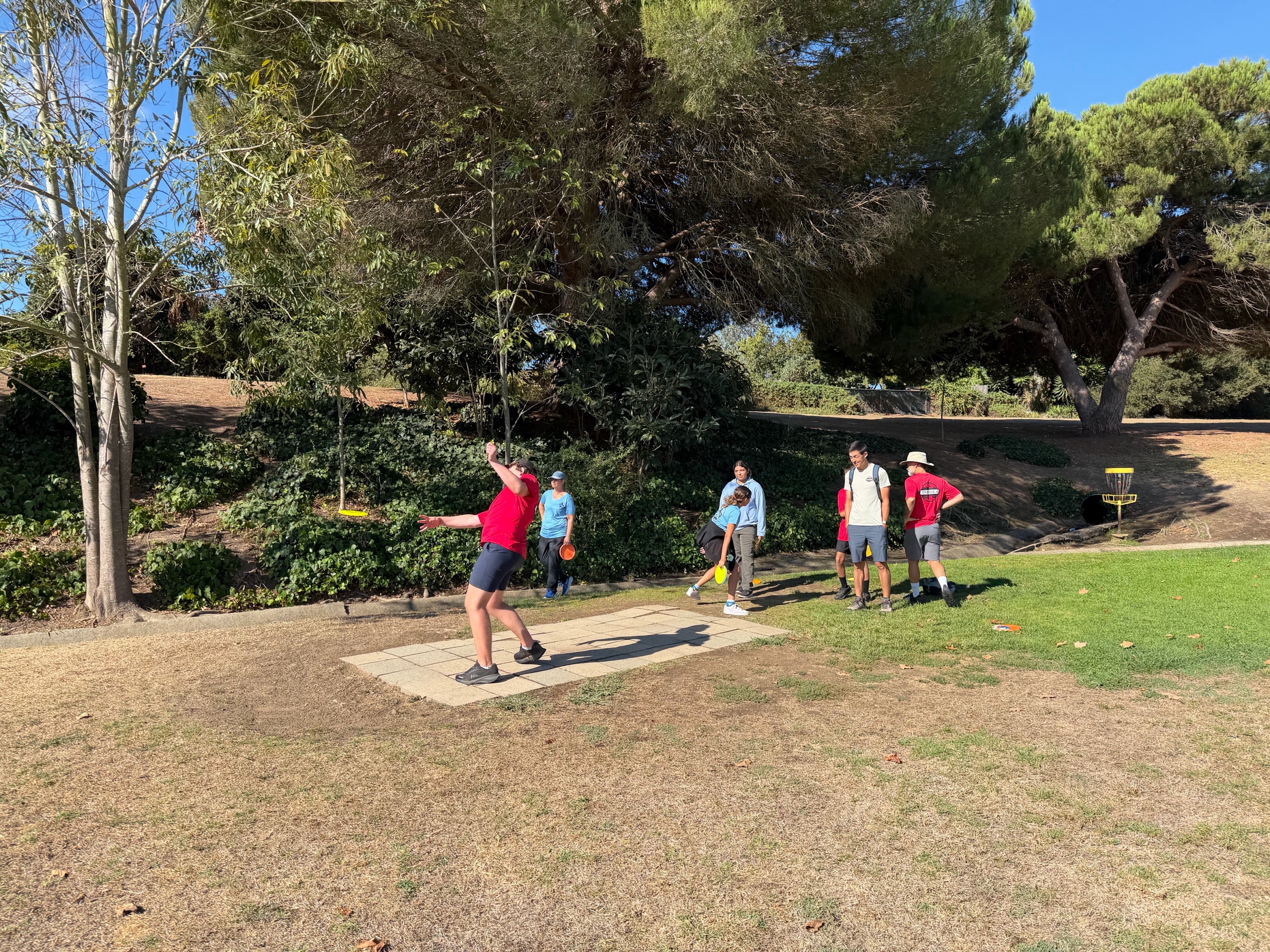 Disc Golf photo