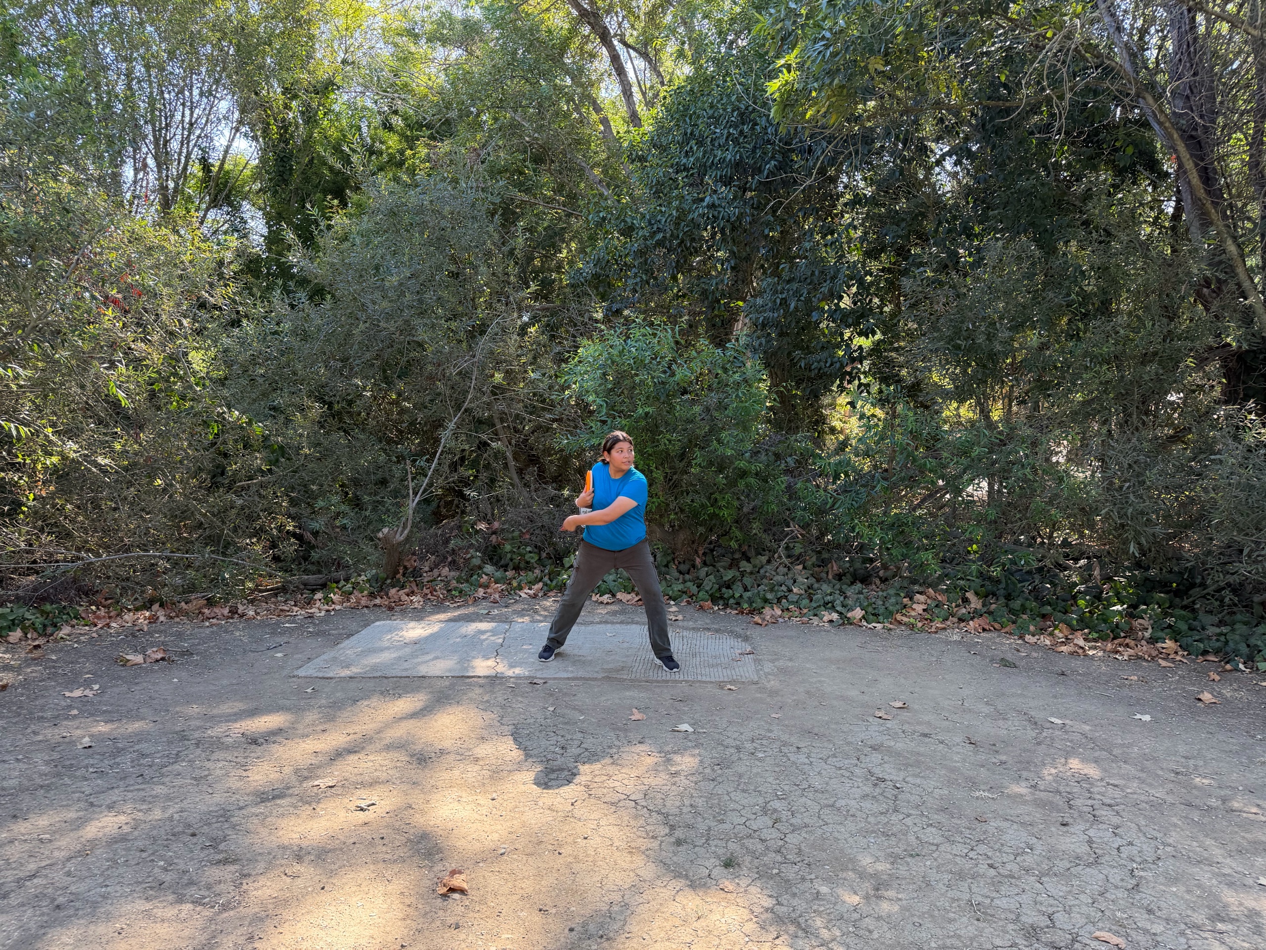 Disc Golf photo