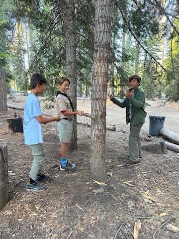Camp Chawanakee photo