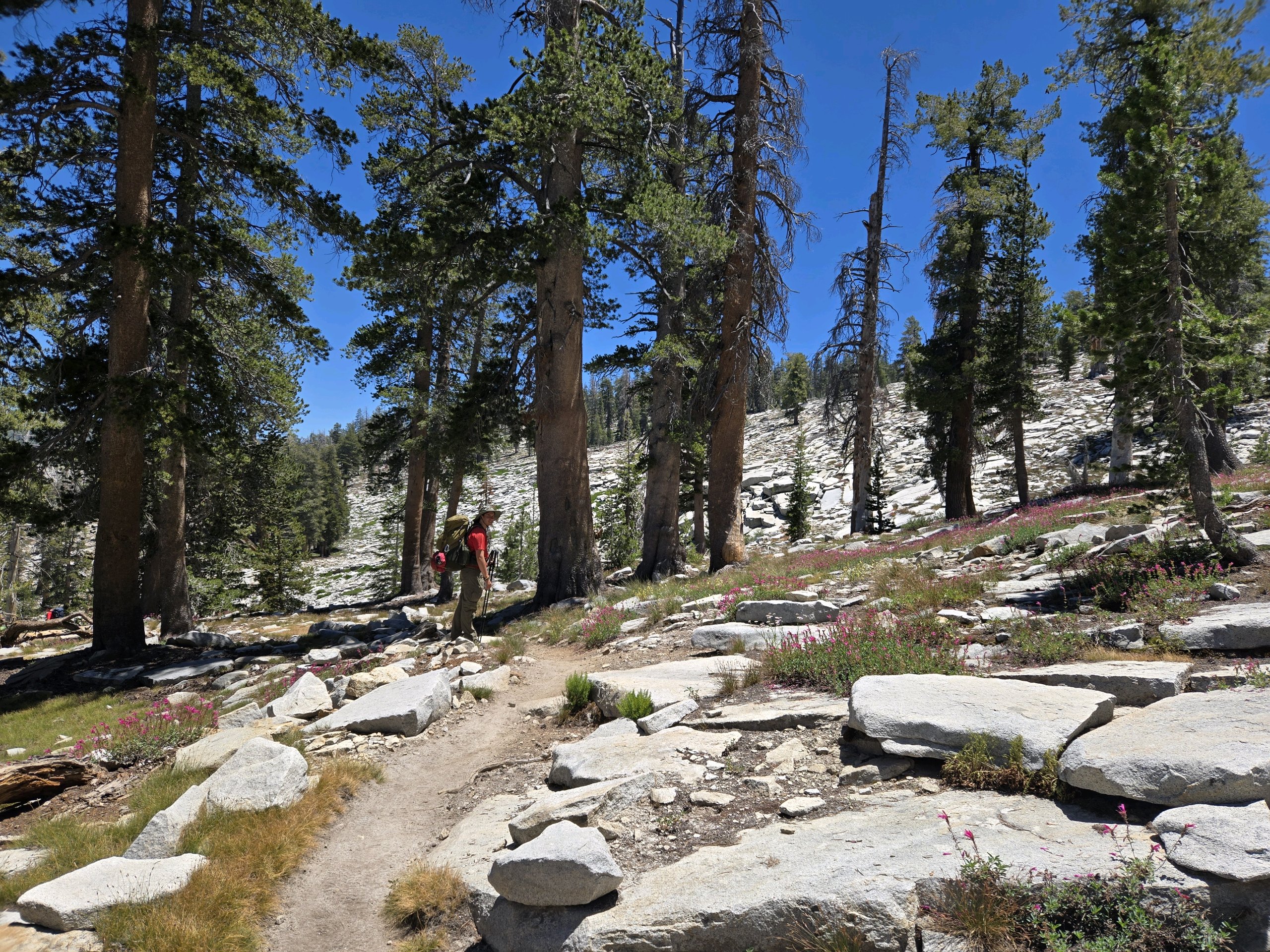 Sequoia Backpacking Trip photo
