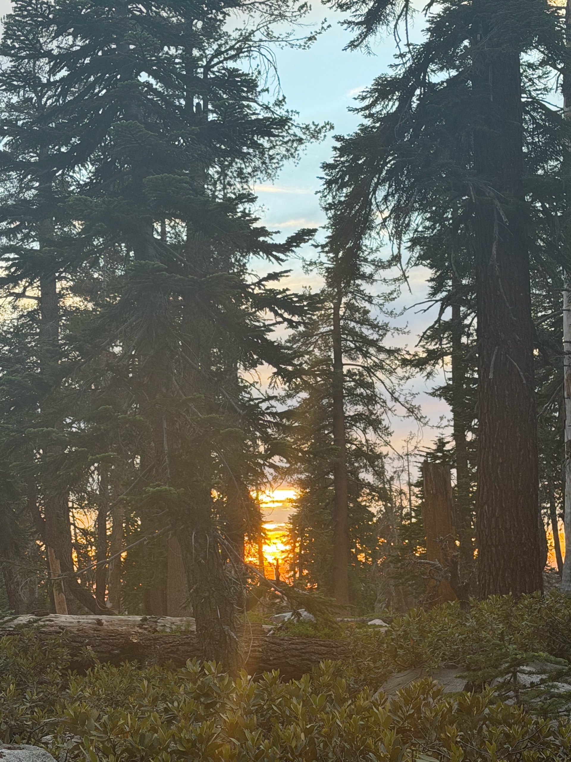 Sequoia Backpacking Trip photo