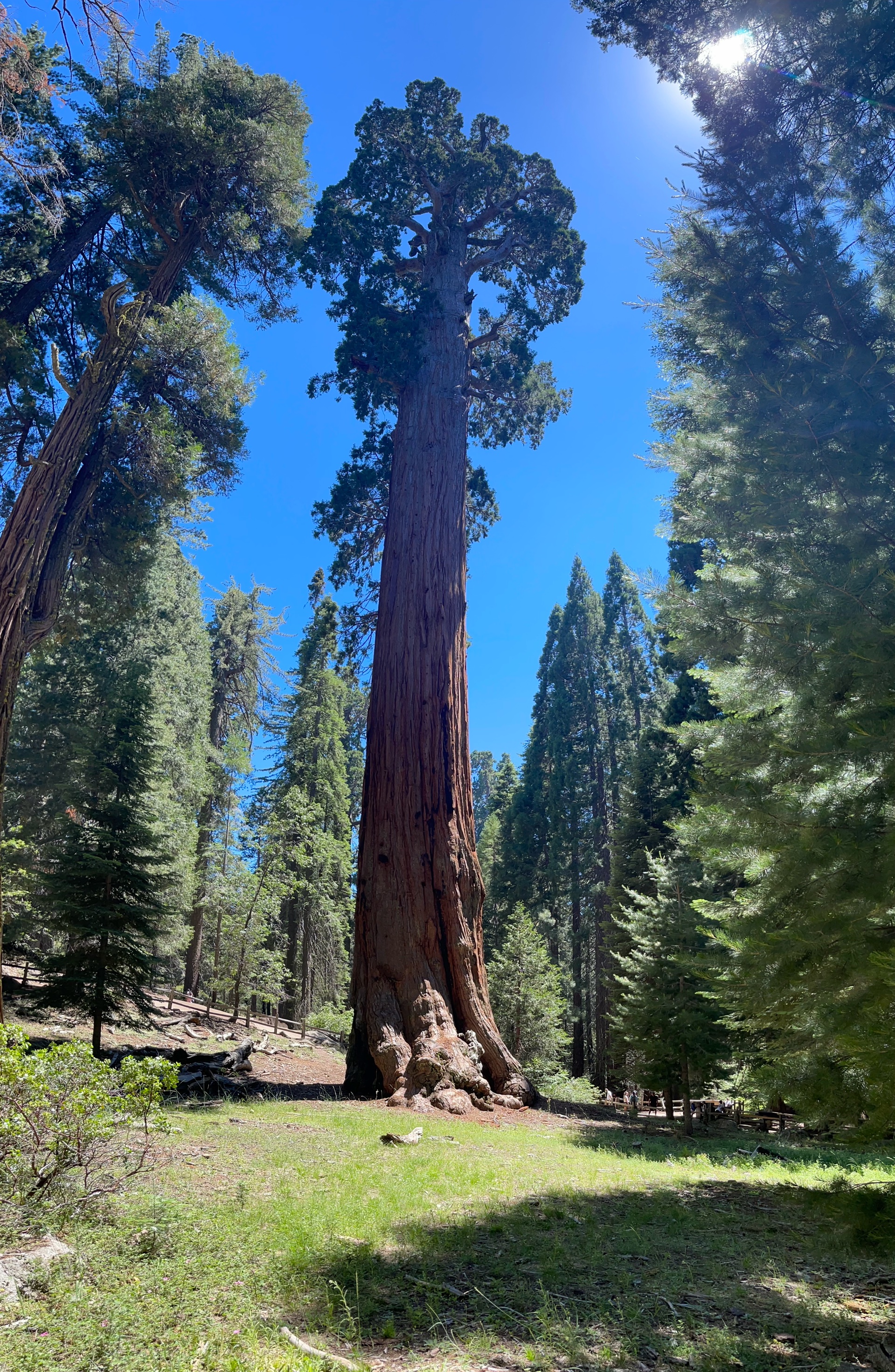 Sequoia Backpacking Trip photo