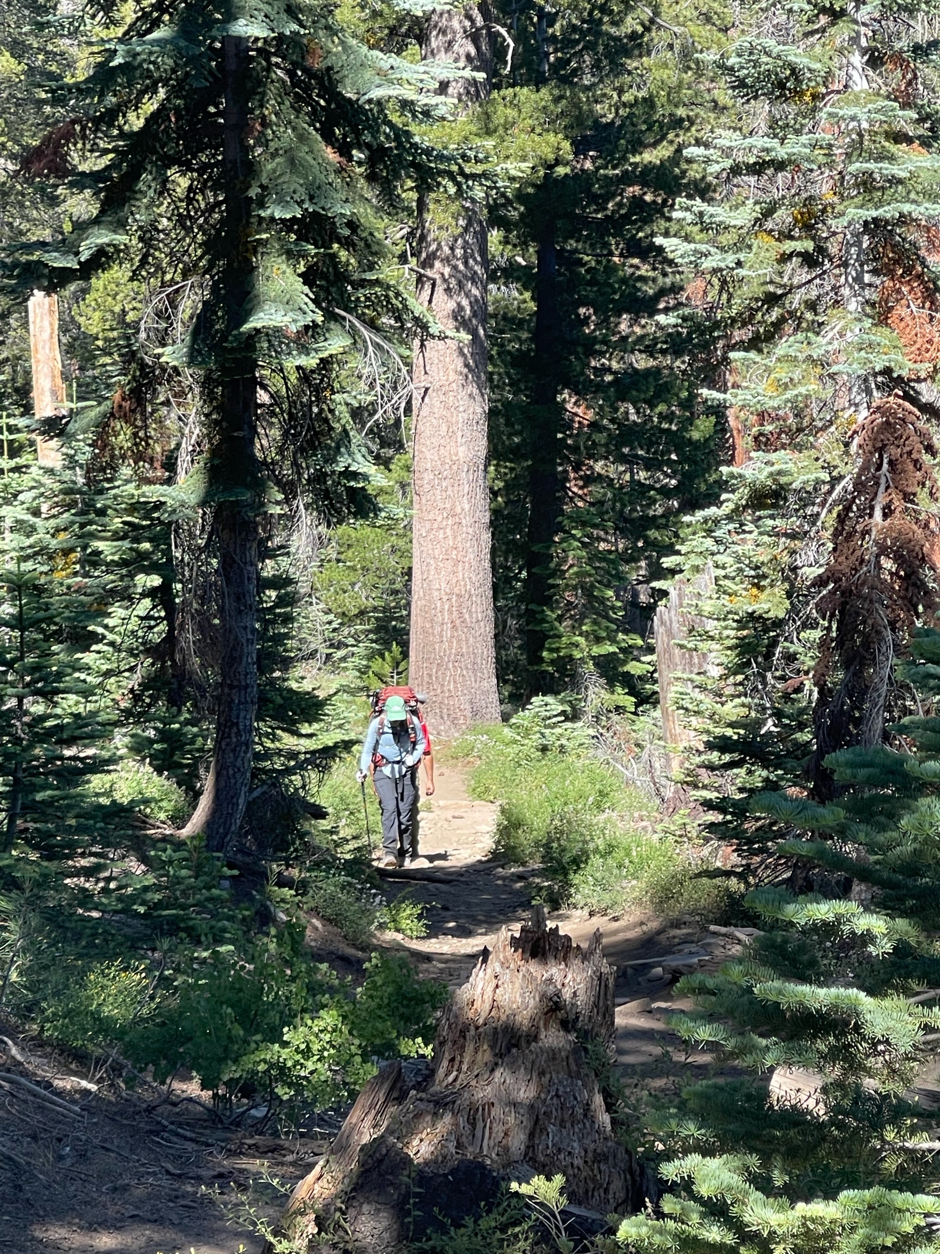 Sequoia Backpacking Trip photo