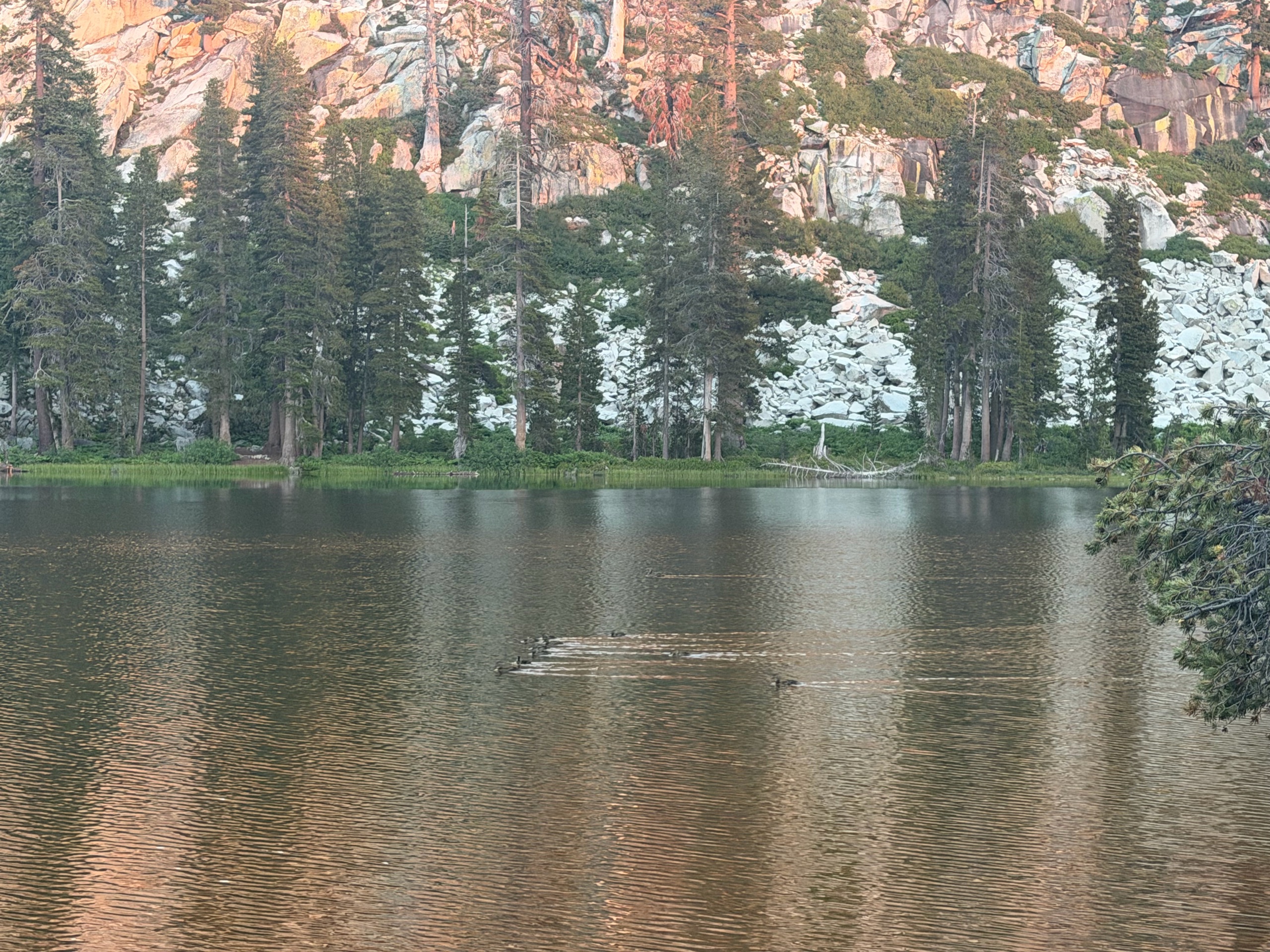 Sequoia Backpacking Trip photo