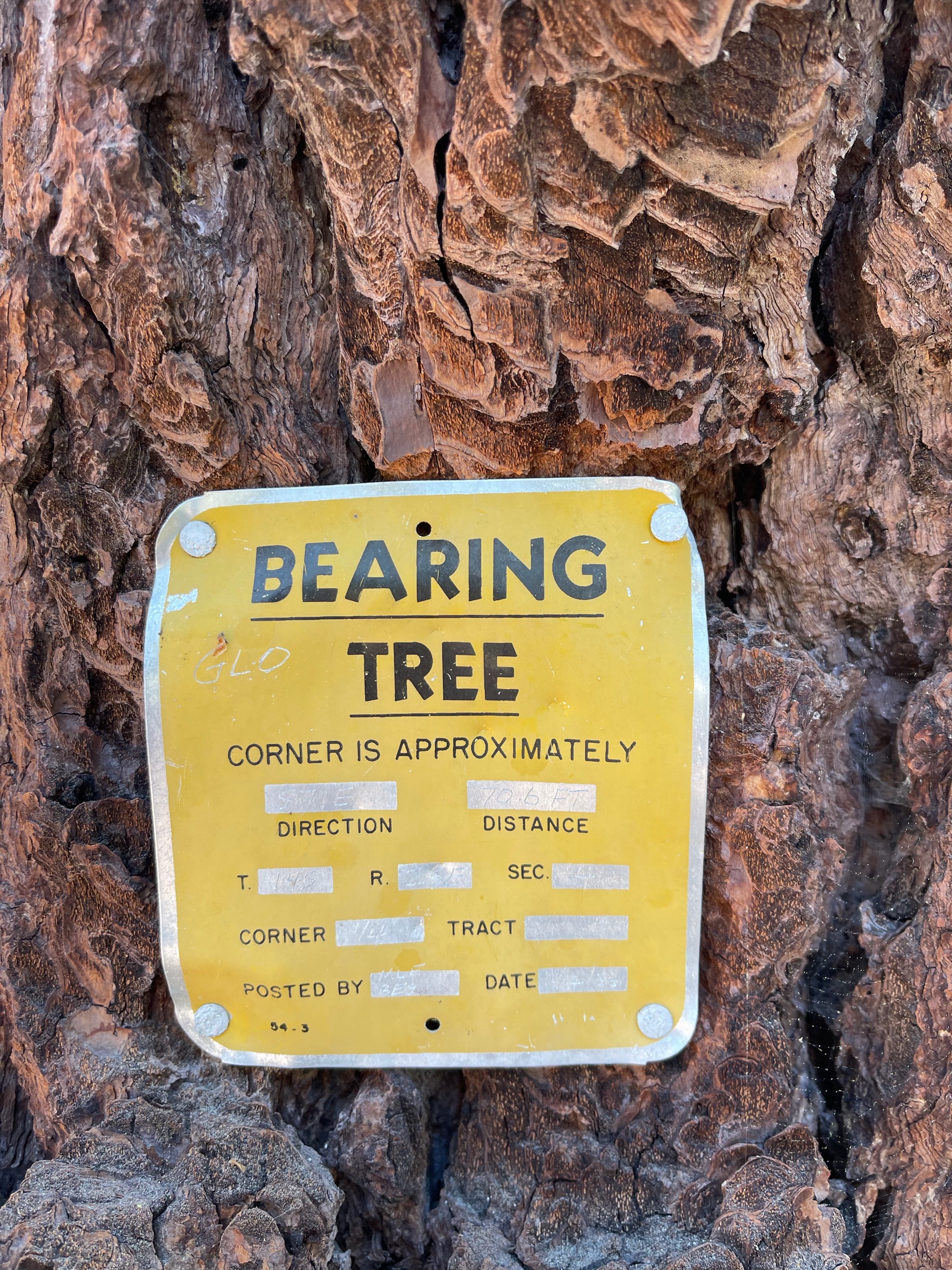 Sequoia Backpacking Trip photo