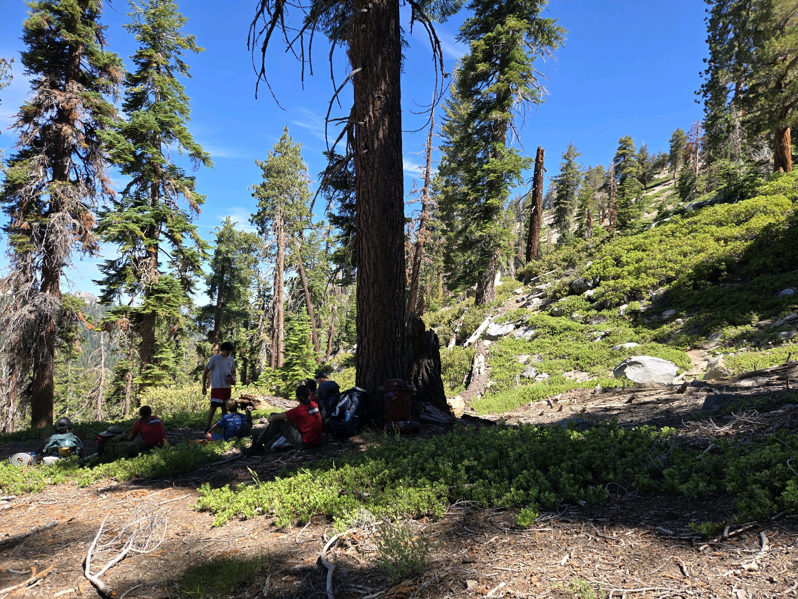 Sequoia Backpacking Trip photo