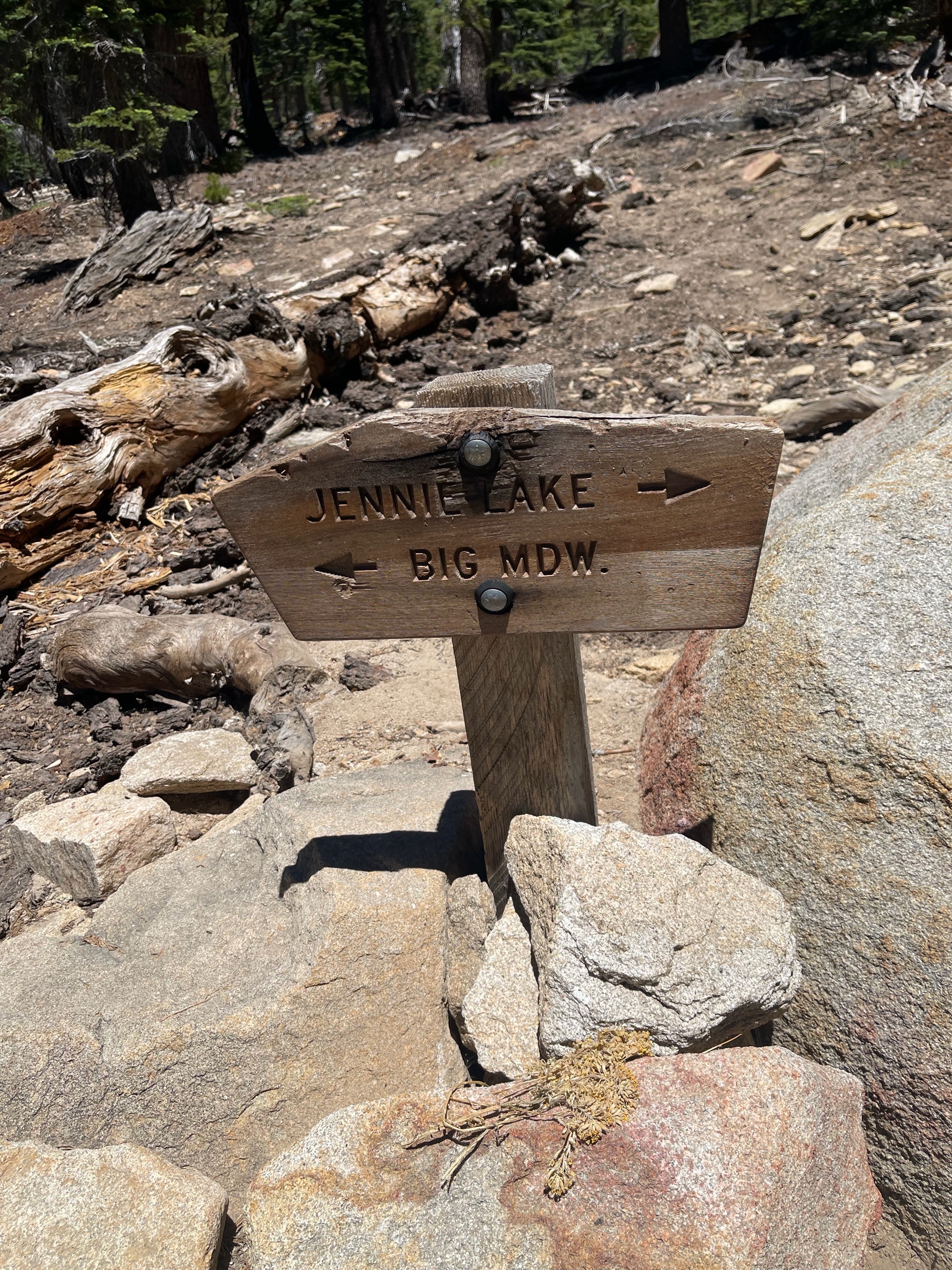 Sequoia Backpacking Trip photo