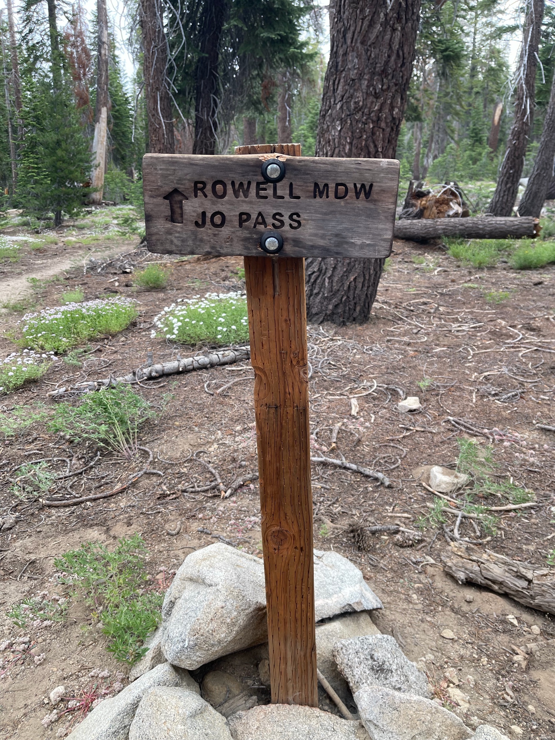 Sequoia Backpacking Trip photo
