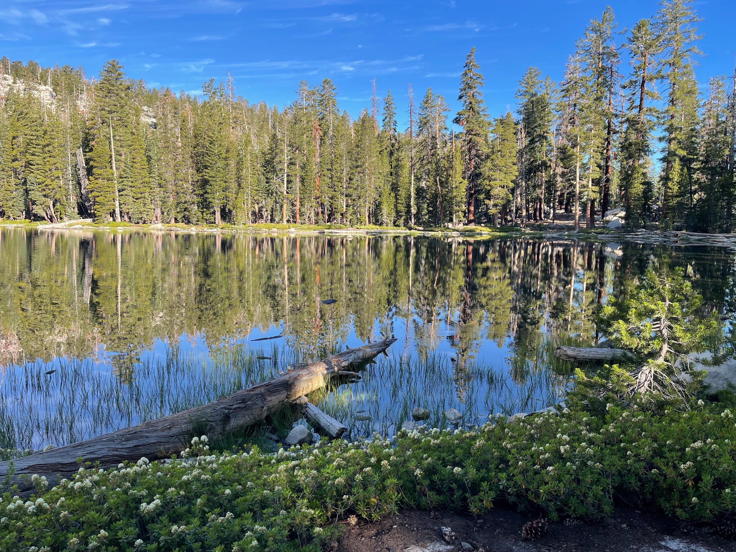 Sequoia Backpacking Trip photo