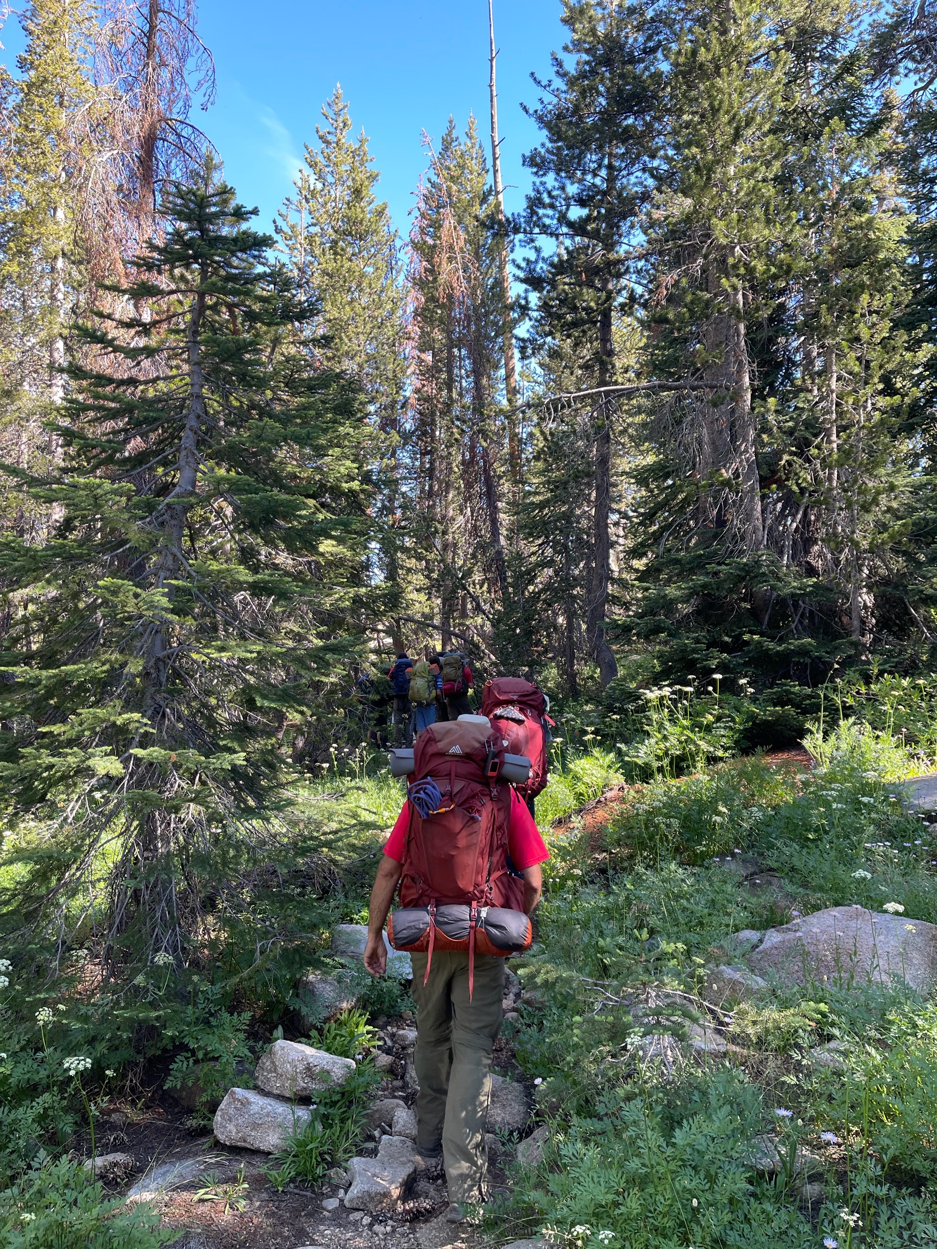 Sequoia Backpacking Trip photo