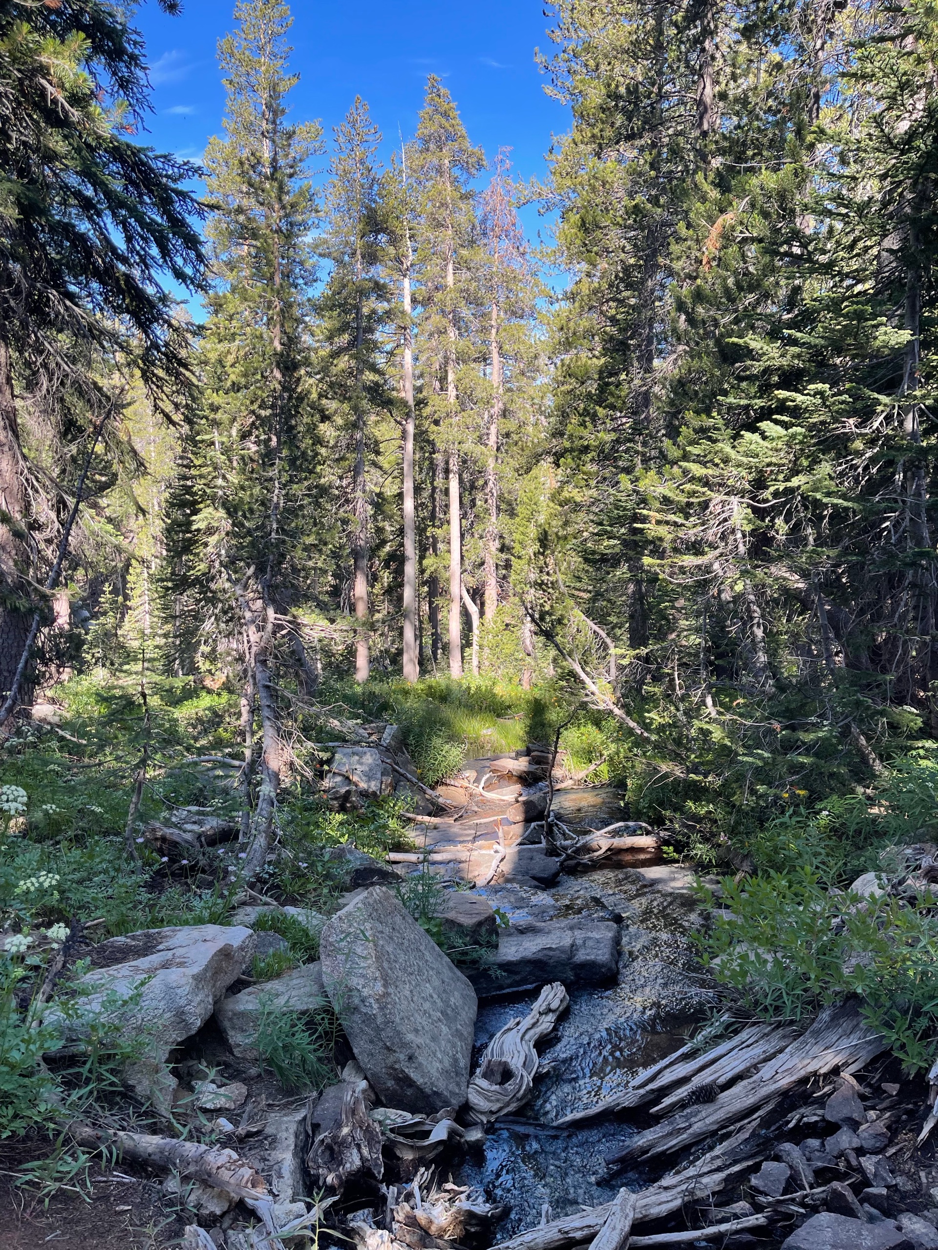 Sequoia Backpacking Trip photo